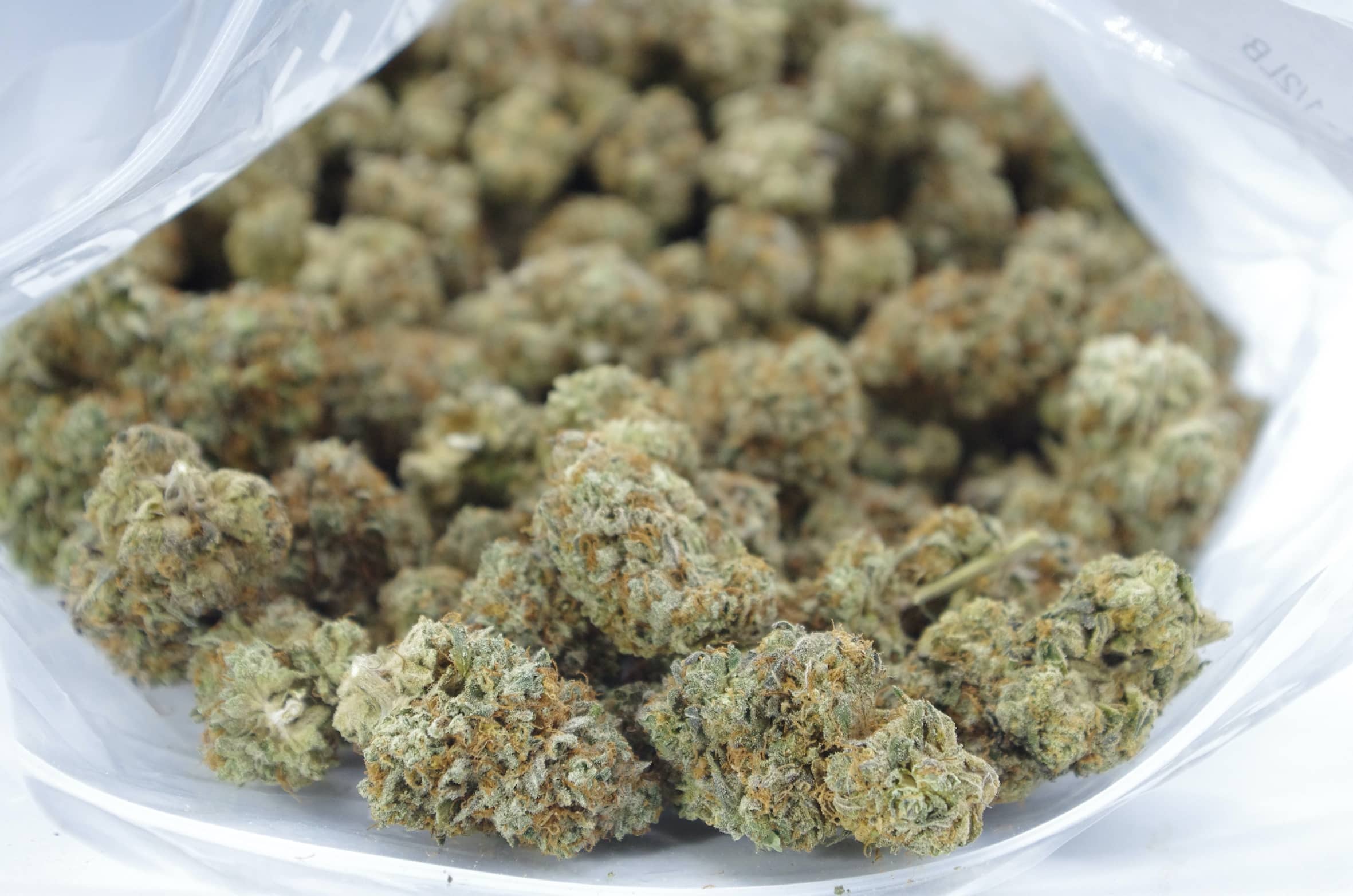 Cherry Pie (Oz Special) Hybrid anti-anxiety Cherry Pie (Oz Special) Hybrid anti-anxiety