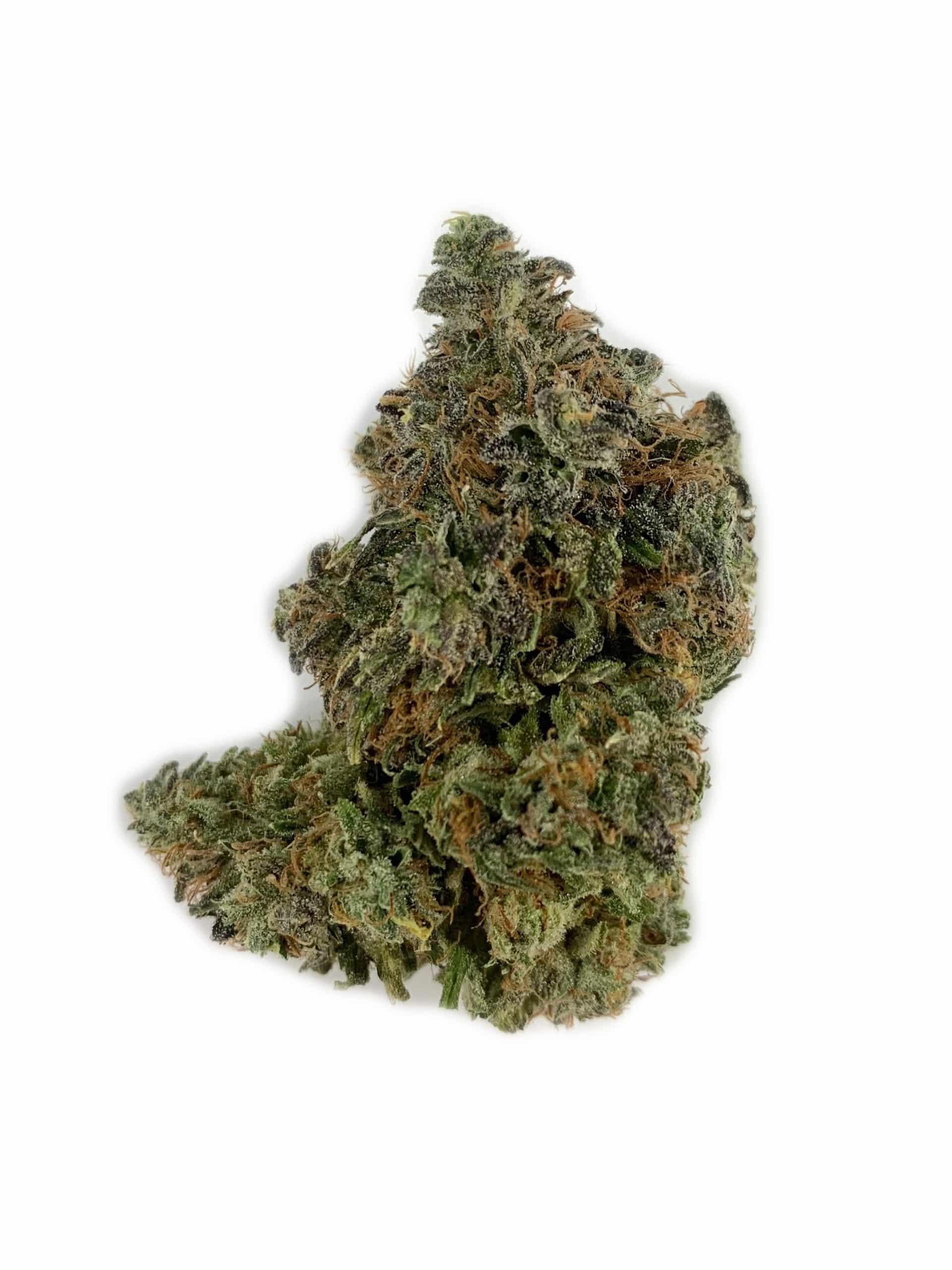 Comatose (Oz Special) Indica anxiety Comatose (Oz Special) Indica anxiety