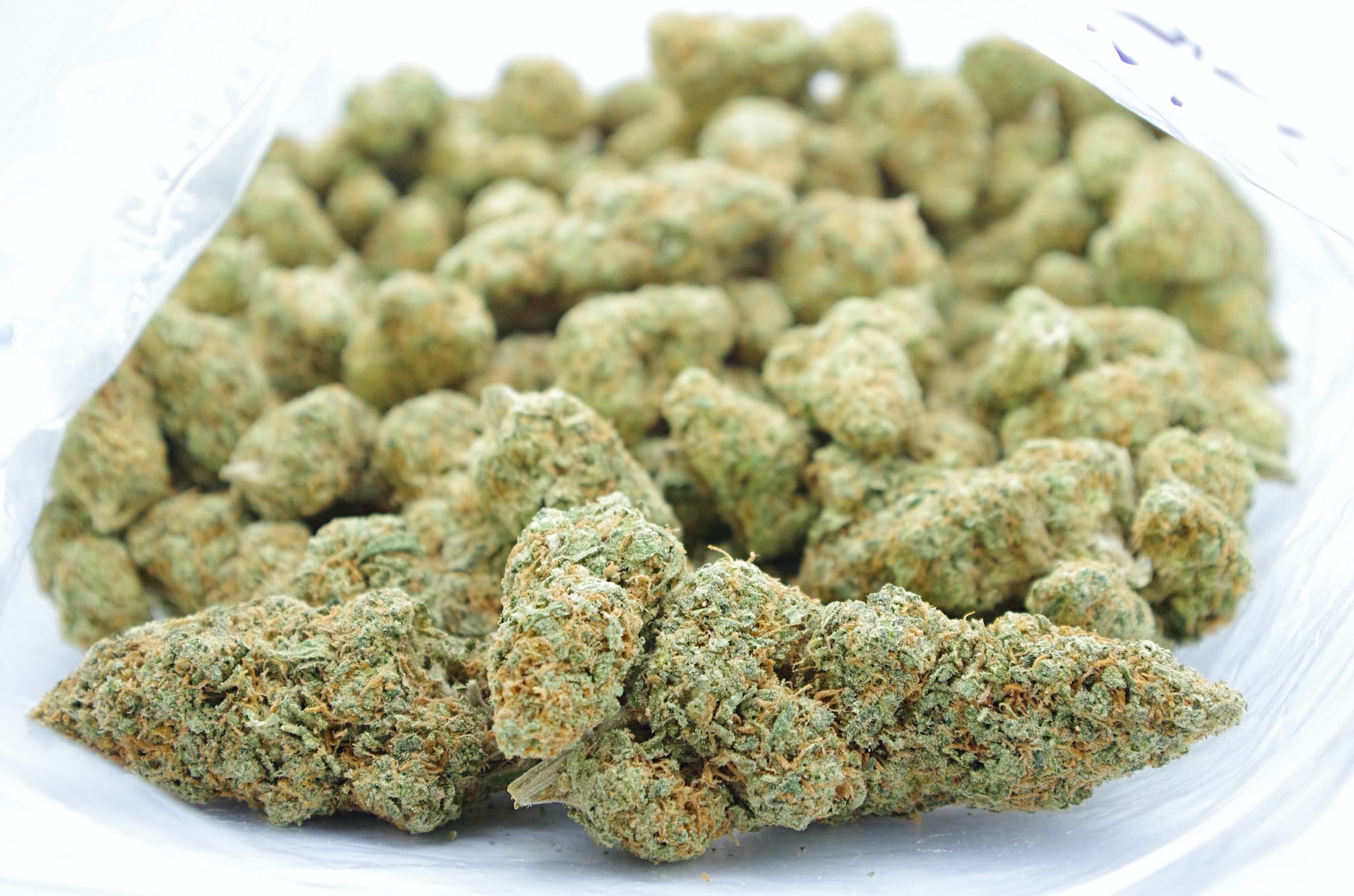Congo Zkittles (Oz Special) Sativa Congo Zkittles (Oz Special) Sativa