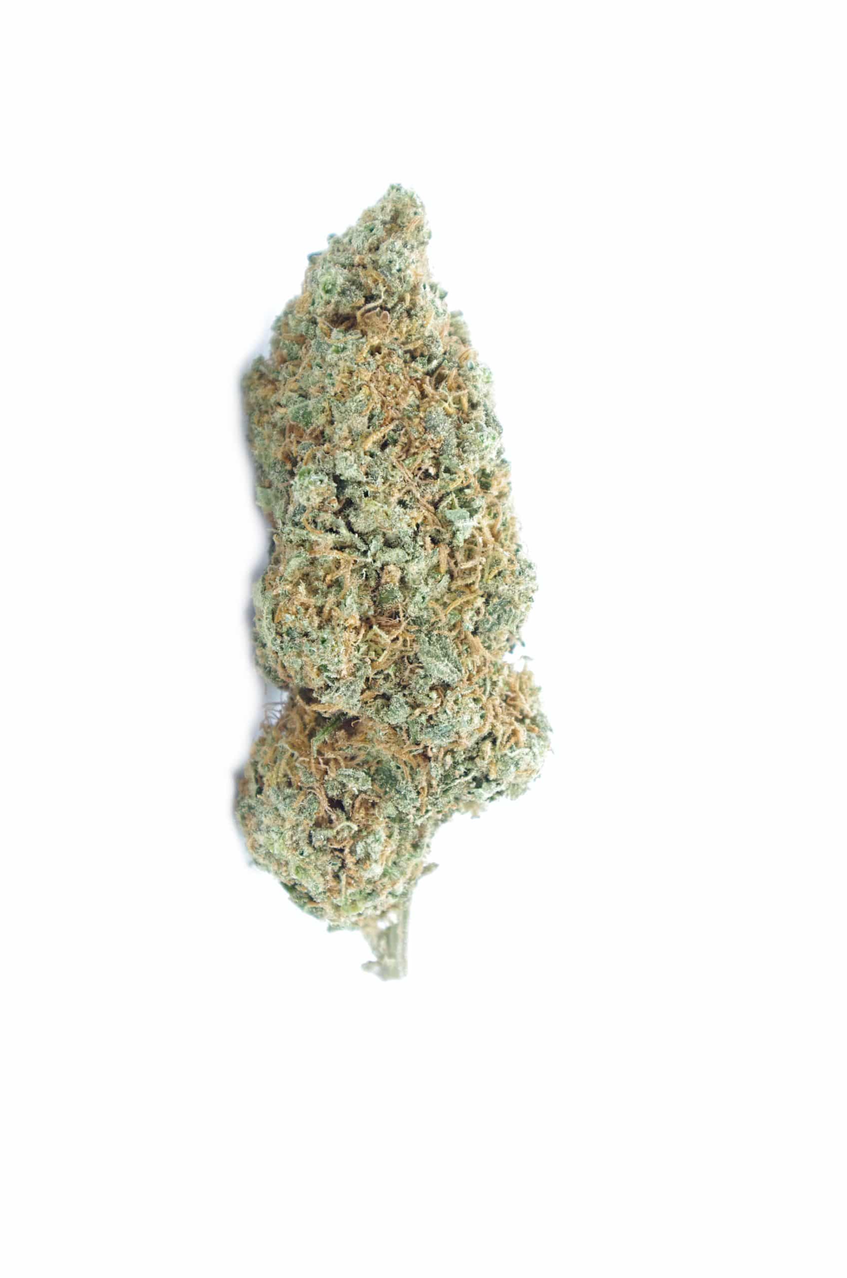 Congo Zkittles (Oz Special) Sativa Congo Zkittles (Oz Special) Sativa