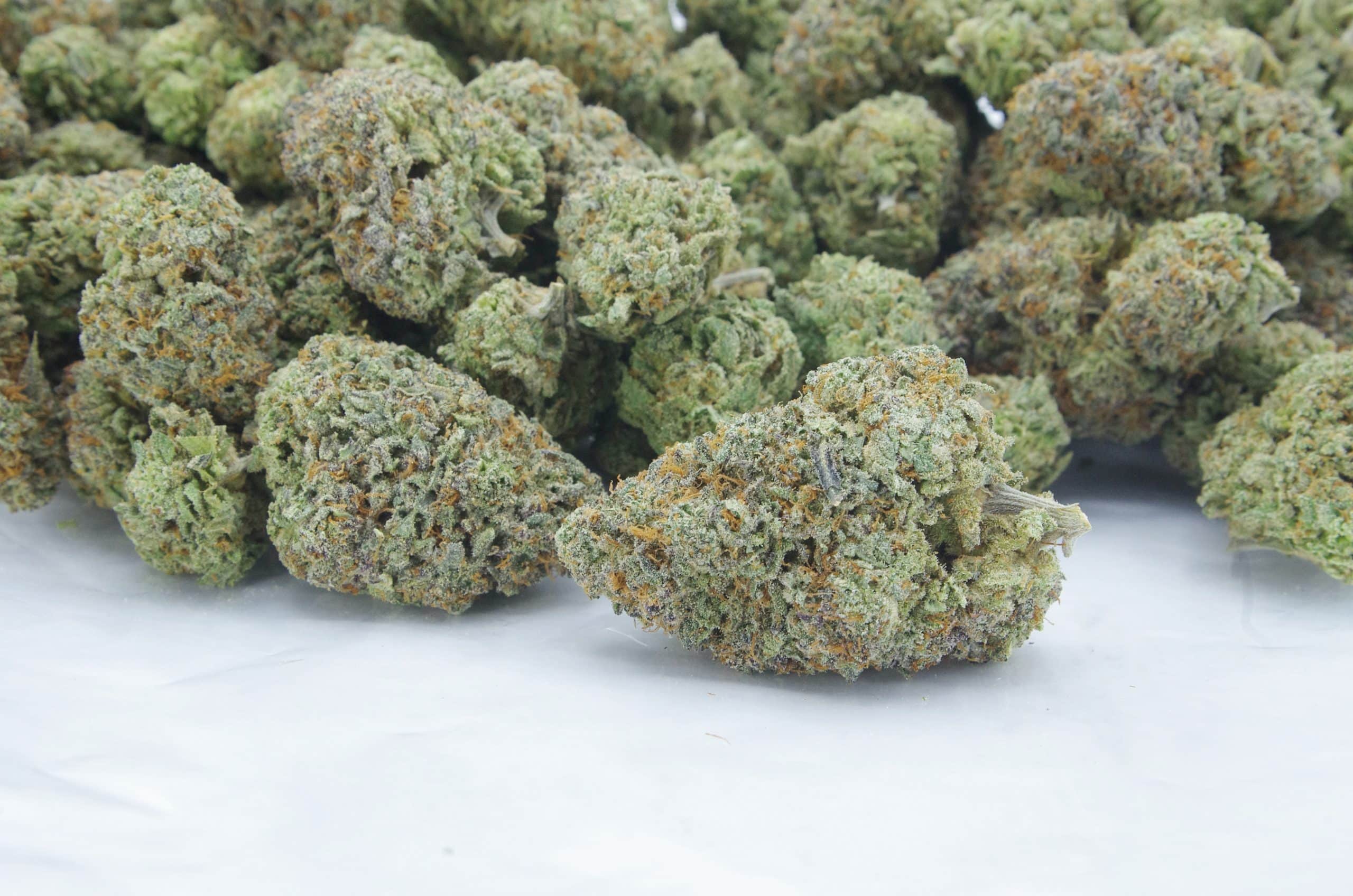 Kush Cookies (Oz Special) All Strains anti-anxiety Kush Cookies (Oz Special) All Strains anti-anxiety