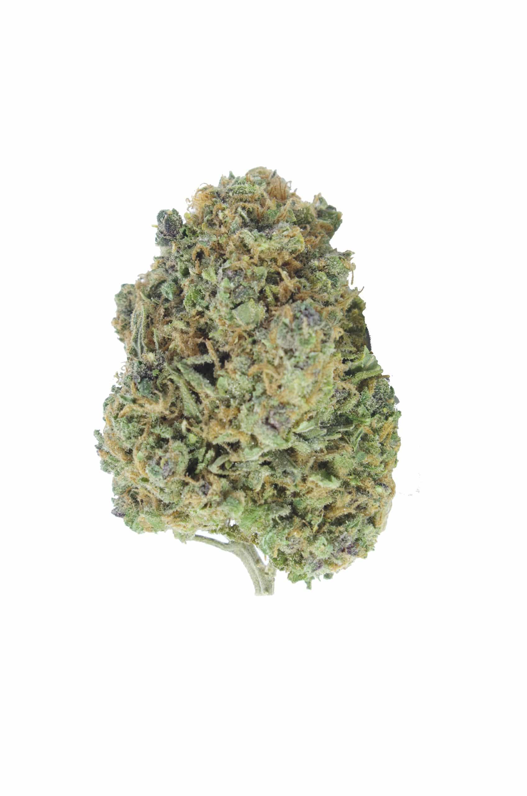 Cotton Candy (Oz Special) All Strains Cotton Candy (Oz Special) All Strains