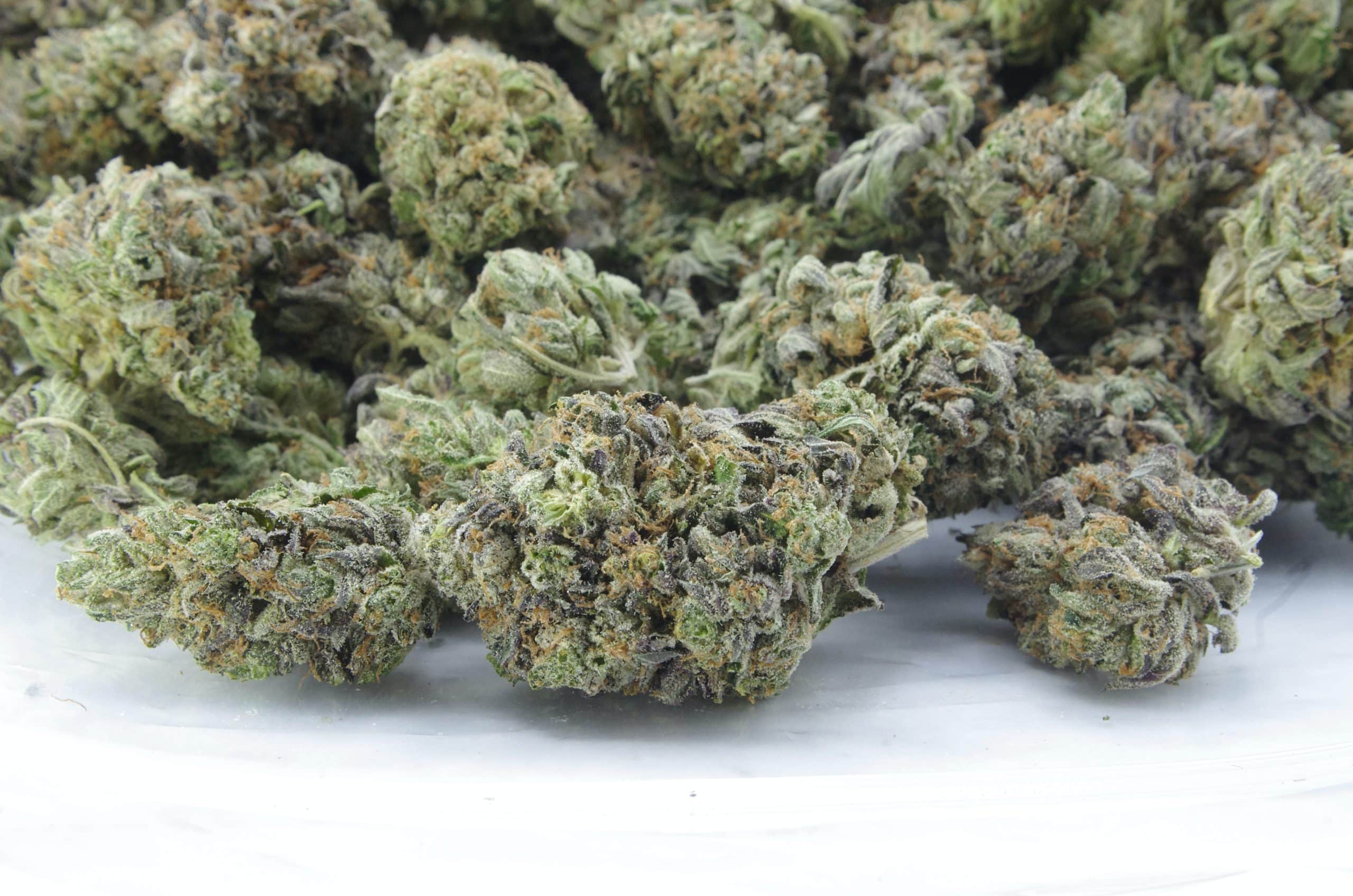 El Muerte (Oz Special) Indica anti-anxiety El Muerte (Oz Special) Indica anti-anxiety