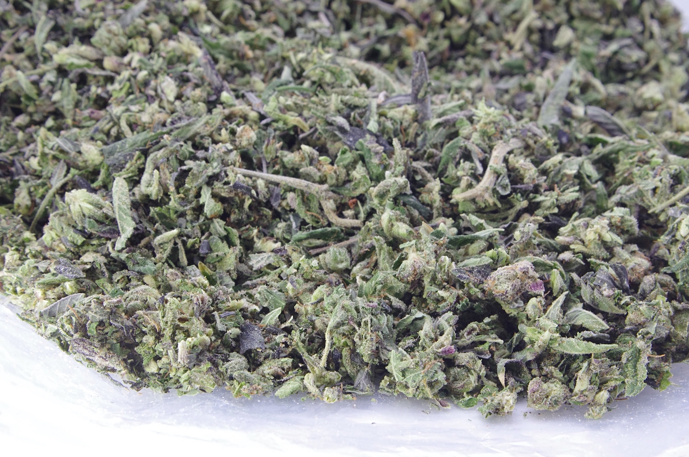 Death Bubba Shake/Trim (Oz Special) Indica anxiety Death Bubba Shake/Trim (Oz Special) Indica anxiety