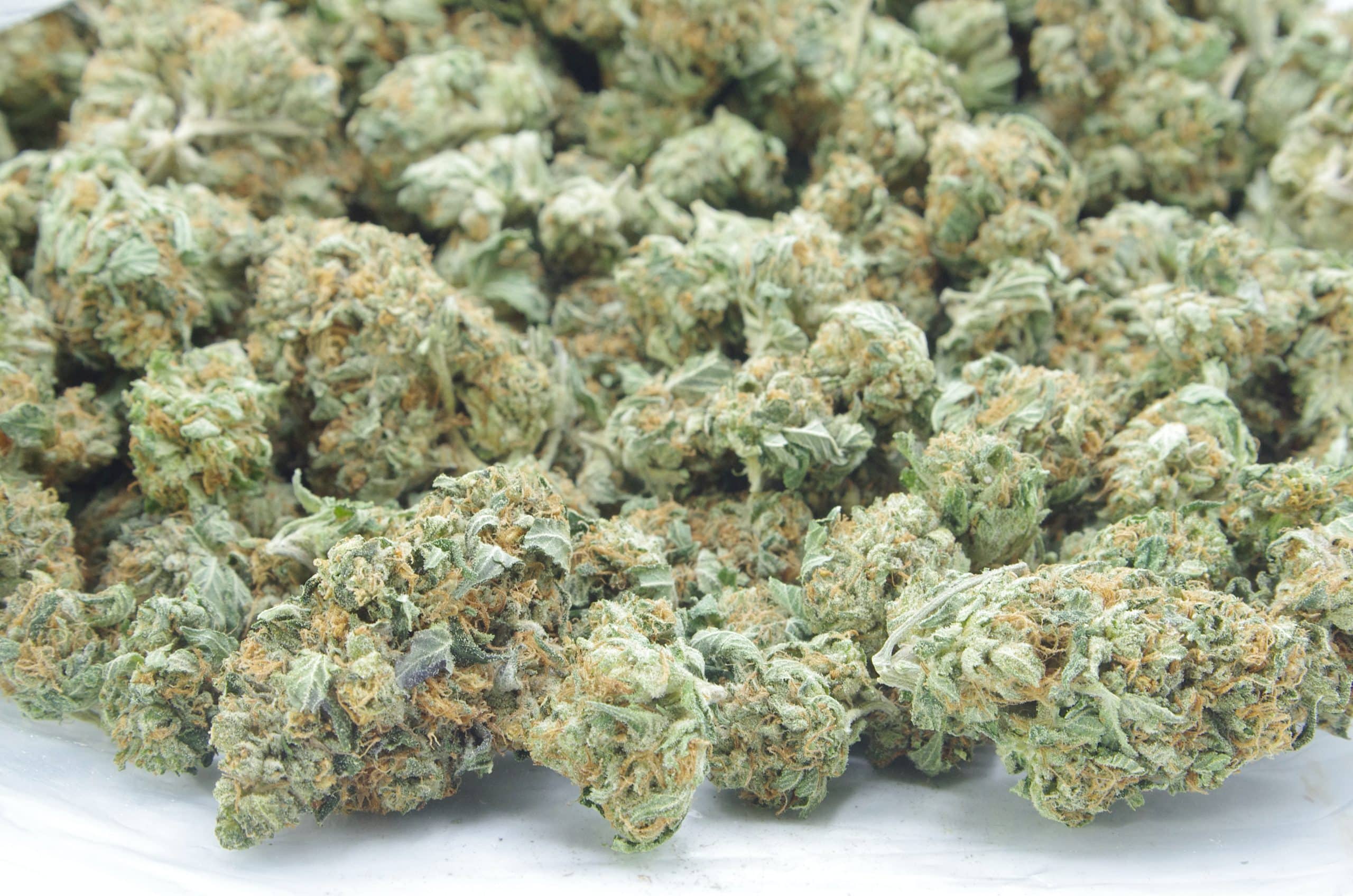 Death Banner (Oz Special) Indica anti-anxiety Death Banner (Oz Special) Indica anti-anxiety