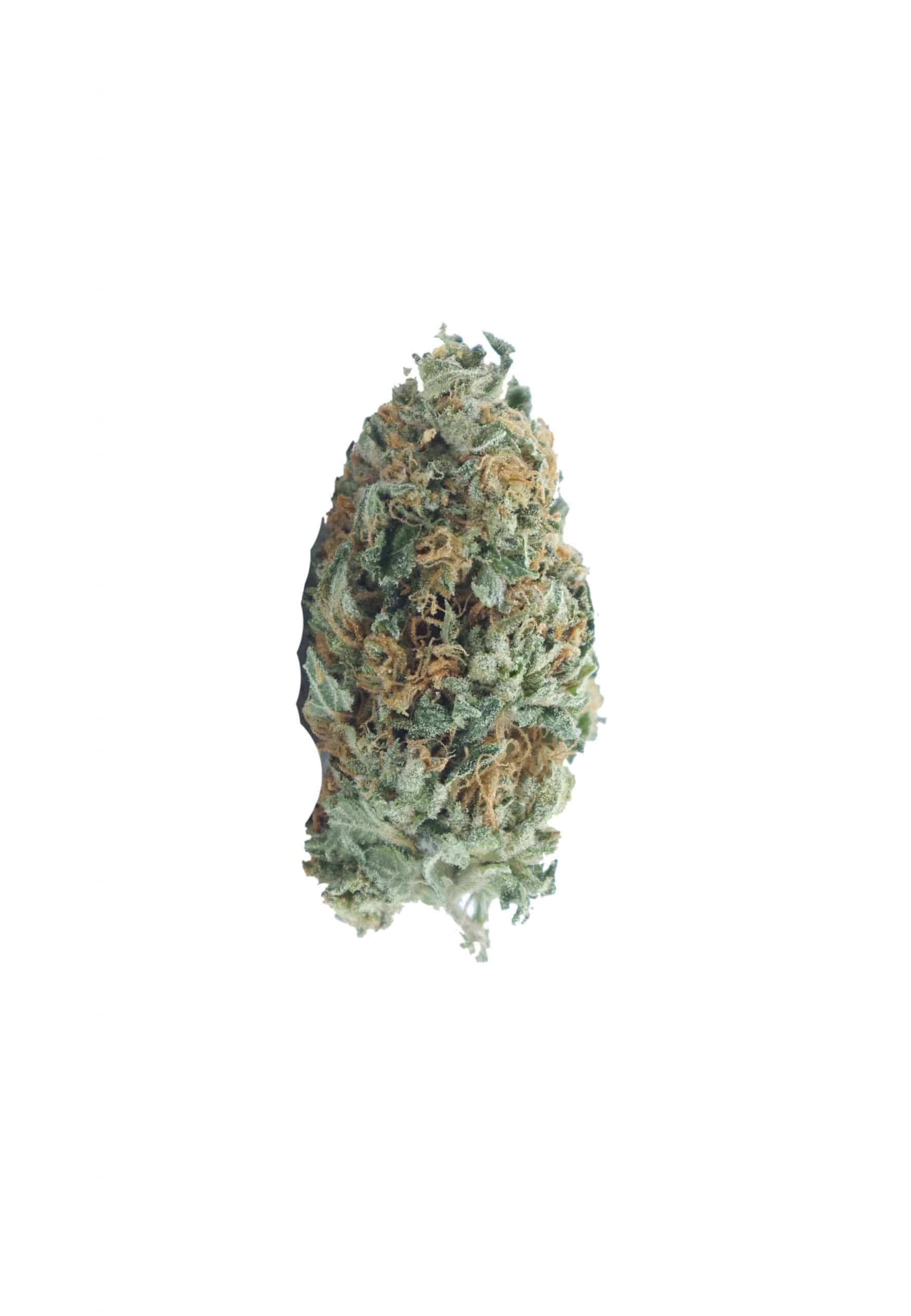 Death Banner (Oz Special) Indica anti-anxiety Death Banner (Oz Special) Indica anti-anxiety