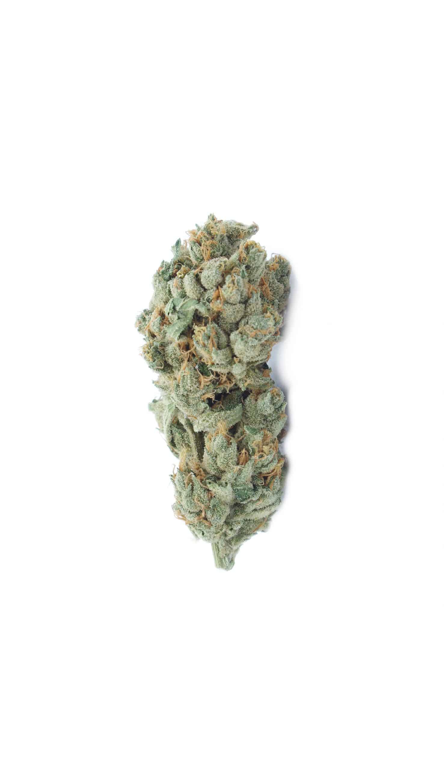 Dream Cake (Oz Special) Hybrid anti-anxiety Dream Cake (Oz Special) Hybrid anti-anxiety