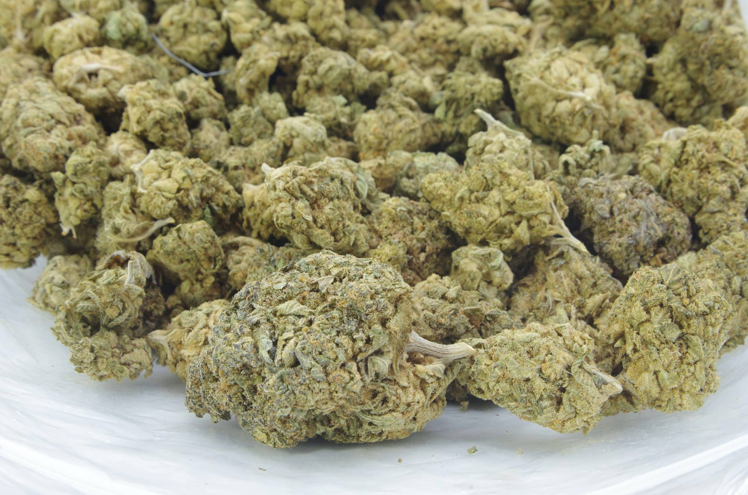 Durban Cookies (Oz Special) All Strains anti-anxiety Durban Cookies (Oz Special) All Strains anti-anxiety