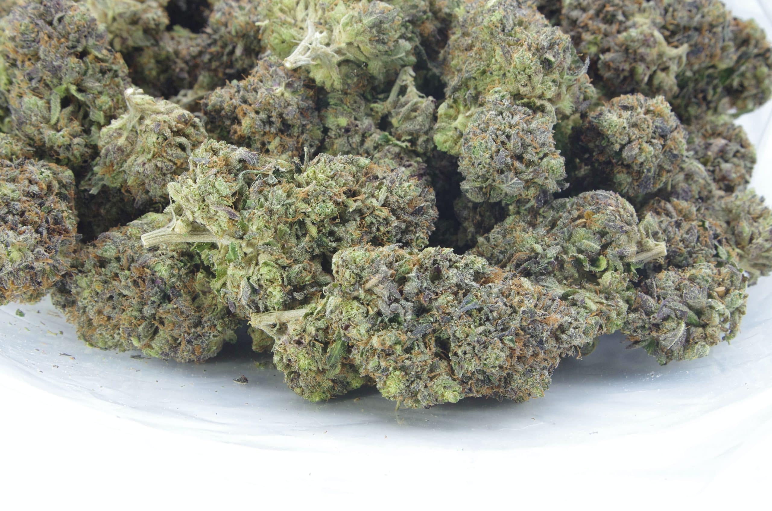 Florida Citrus Kush (Oz Special) All Strains anti-anxiety Florida Citrus Kush (Oz Special) All Strains anti-anxiety