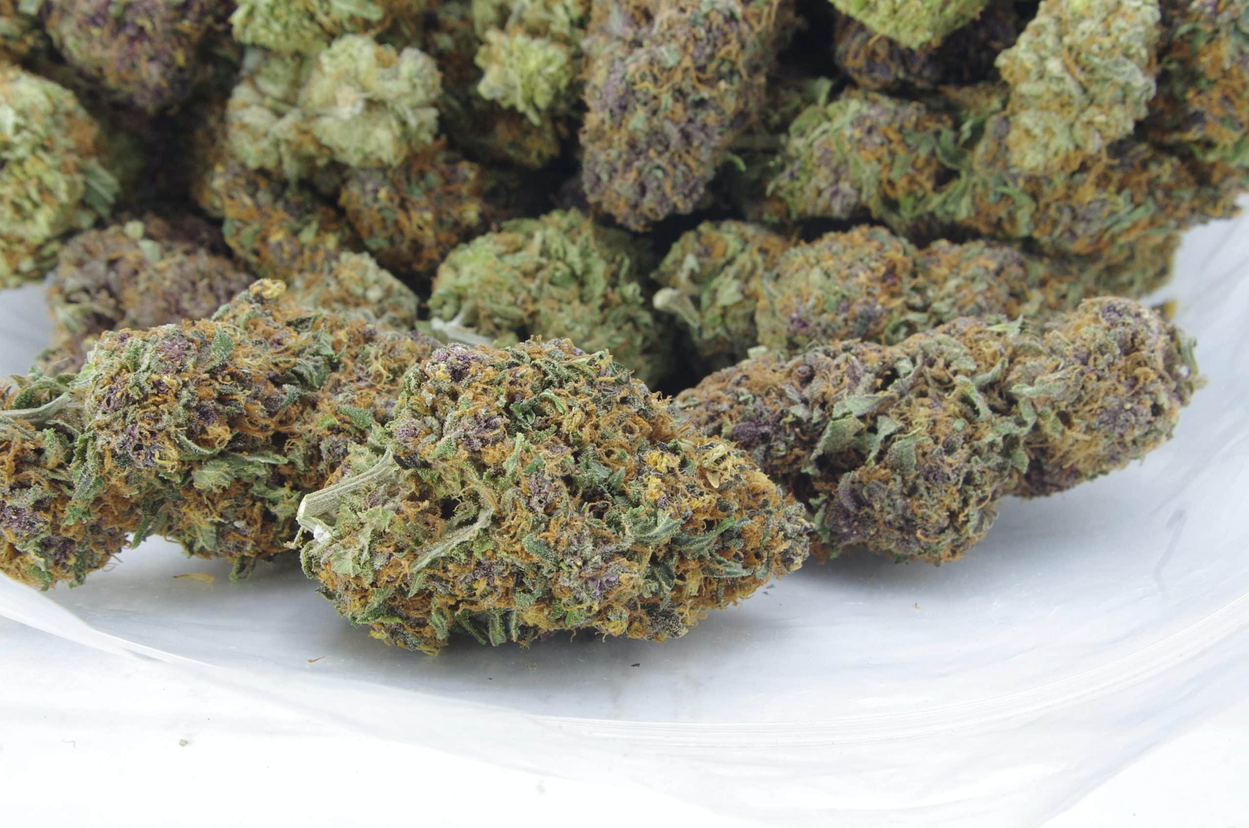 Forbidden Fruit (Oz Special) Hybrid anti-anxiety Forbidden Fruit (Oz Special) Hybrid anti-anxiety