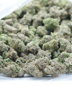 buy forum cut online canada