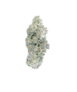 buy forum cut cookies online canada