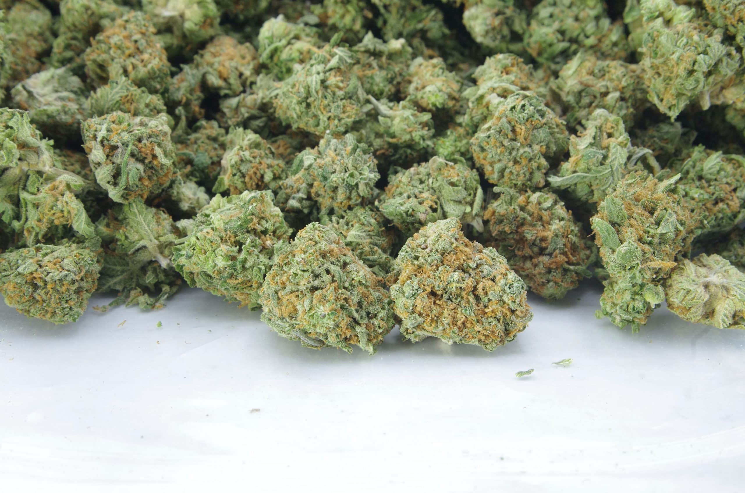 Fruity Pebbles Smalls (Oz Special) All Strains Fruity Pebbles Smalls (Oz Special) All Strains
