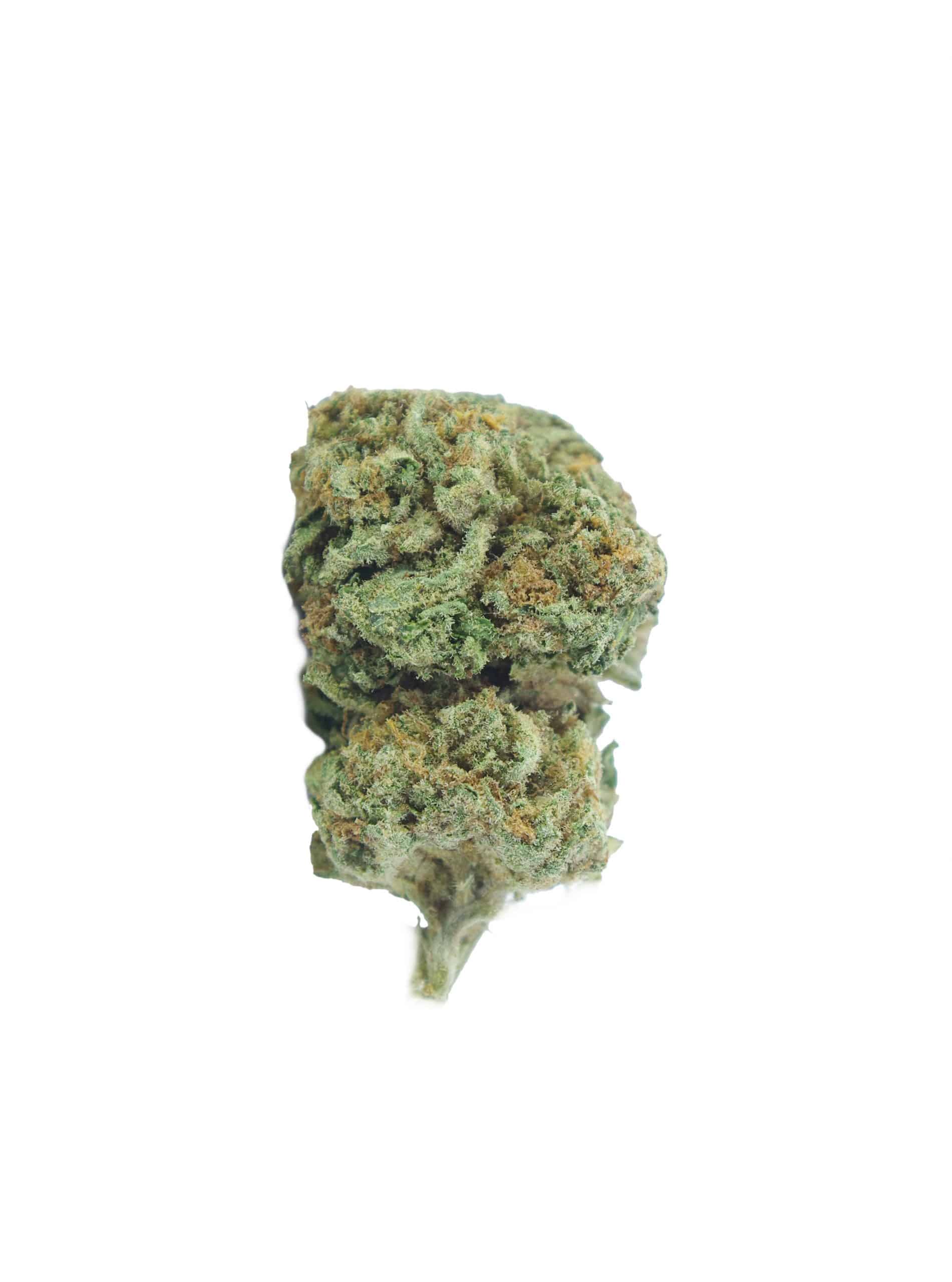 G-13 Hashplant (Oz Special) Hybrid anti-anxiety G-13 Hashplant (Oz Special) Hybrid anti-anxiety