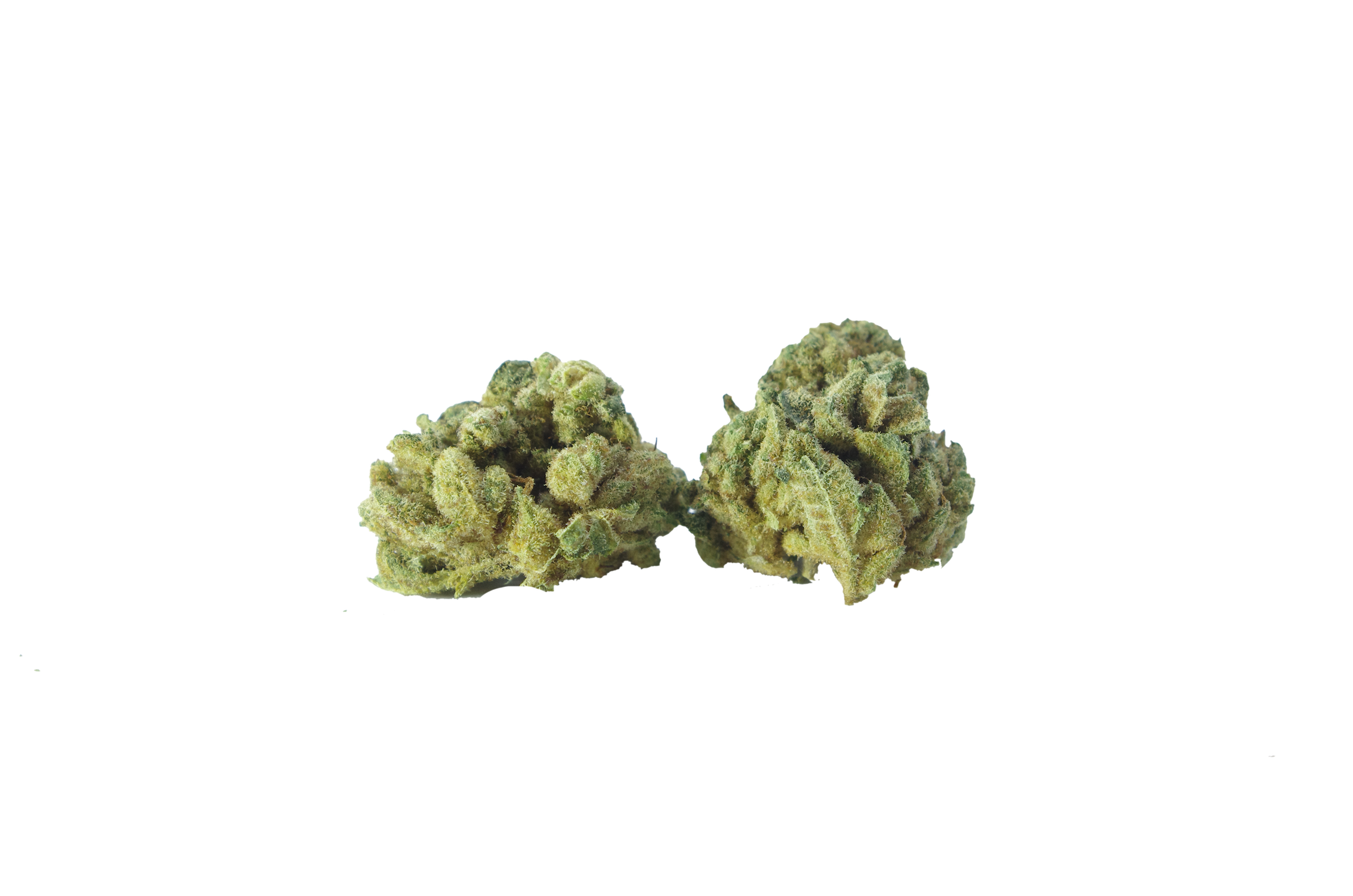 Gorilla Glue #4 (Oz Special) Indica anti-anxiety Gorilla Glue #4 (Oz Special) Indica anti-anxiety