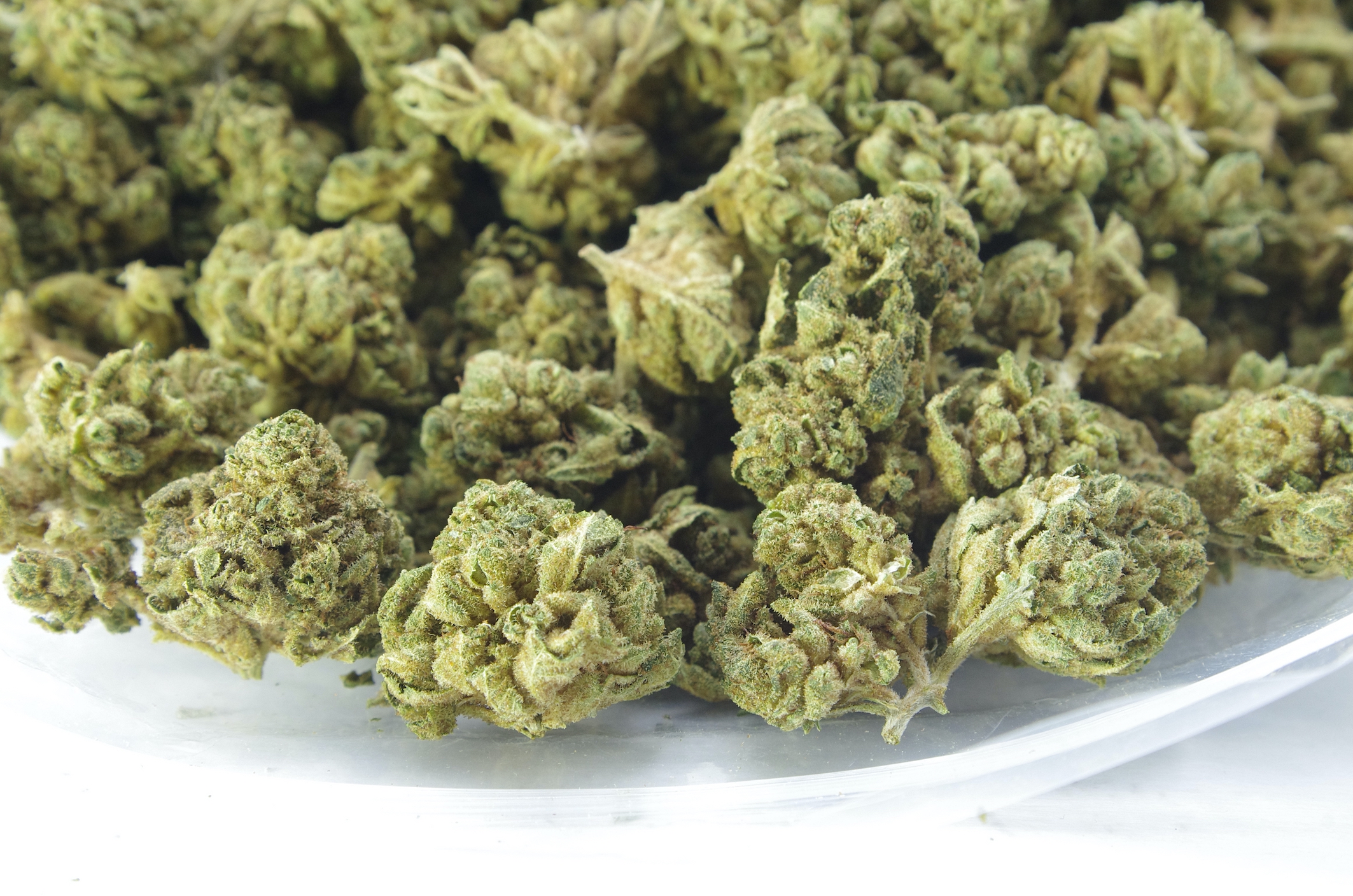 Gorilla Glue #4 (Oz Special) Indica anti-anxiety Gorilla Glue #4 (Oz Special) Indica anti-anxiety