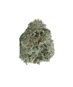 buy gods green crack online