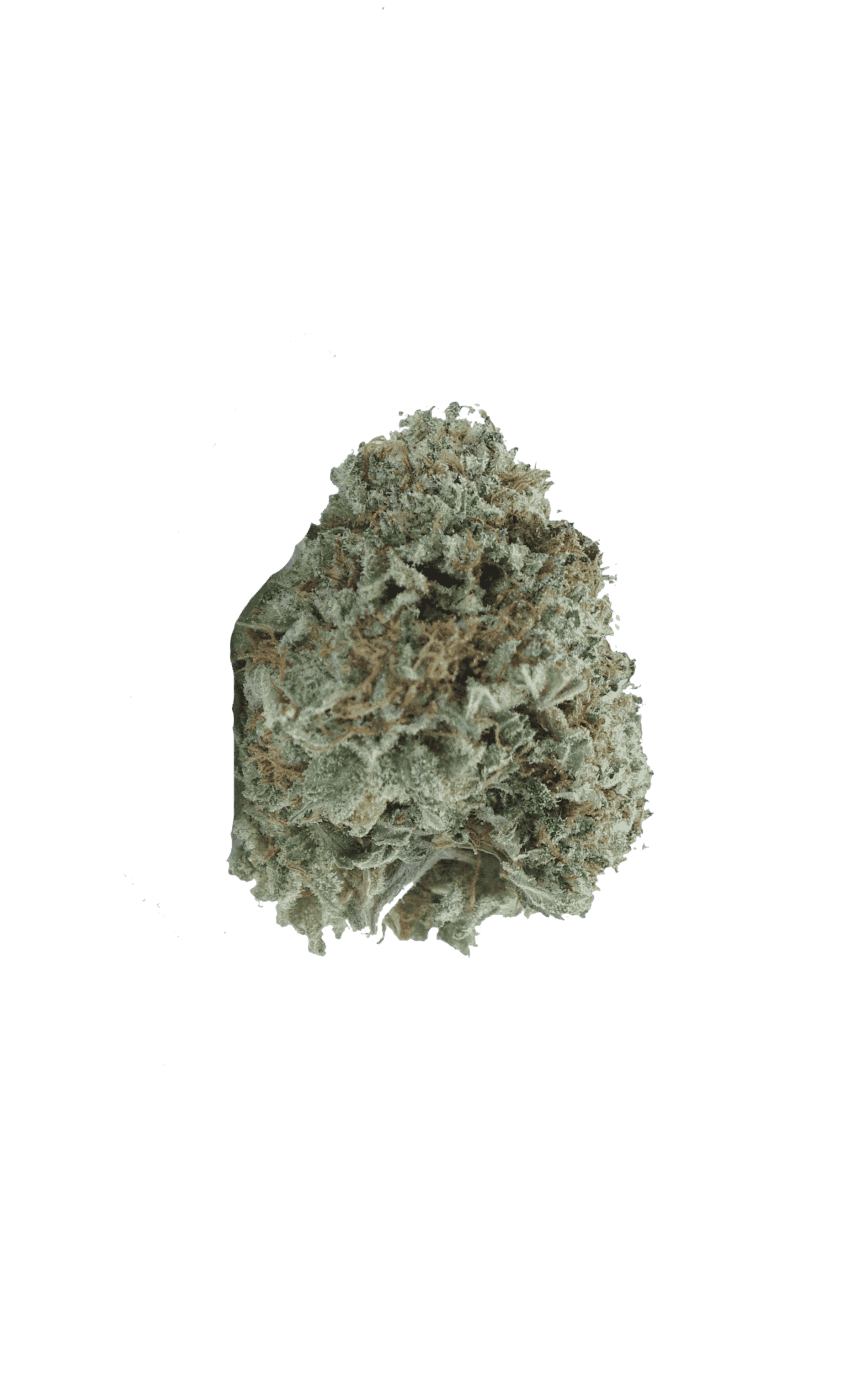 Gods Green Crack (Oz Special) Hybrid anti-anxiety Gods Green Crack (Oz Special) Hybrid anti-anxiety