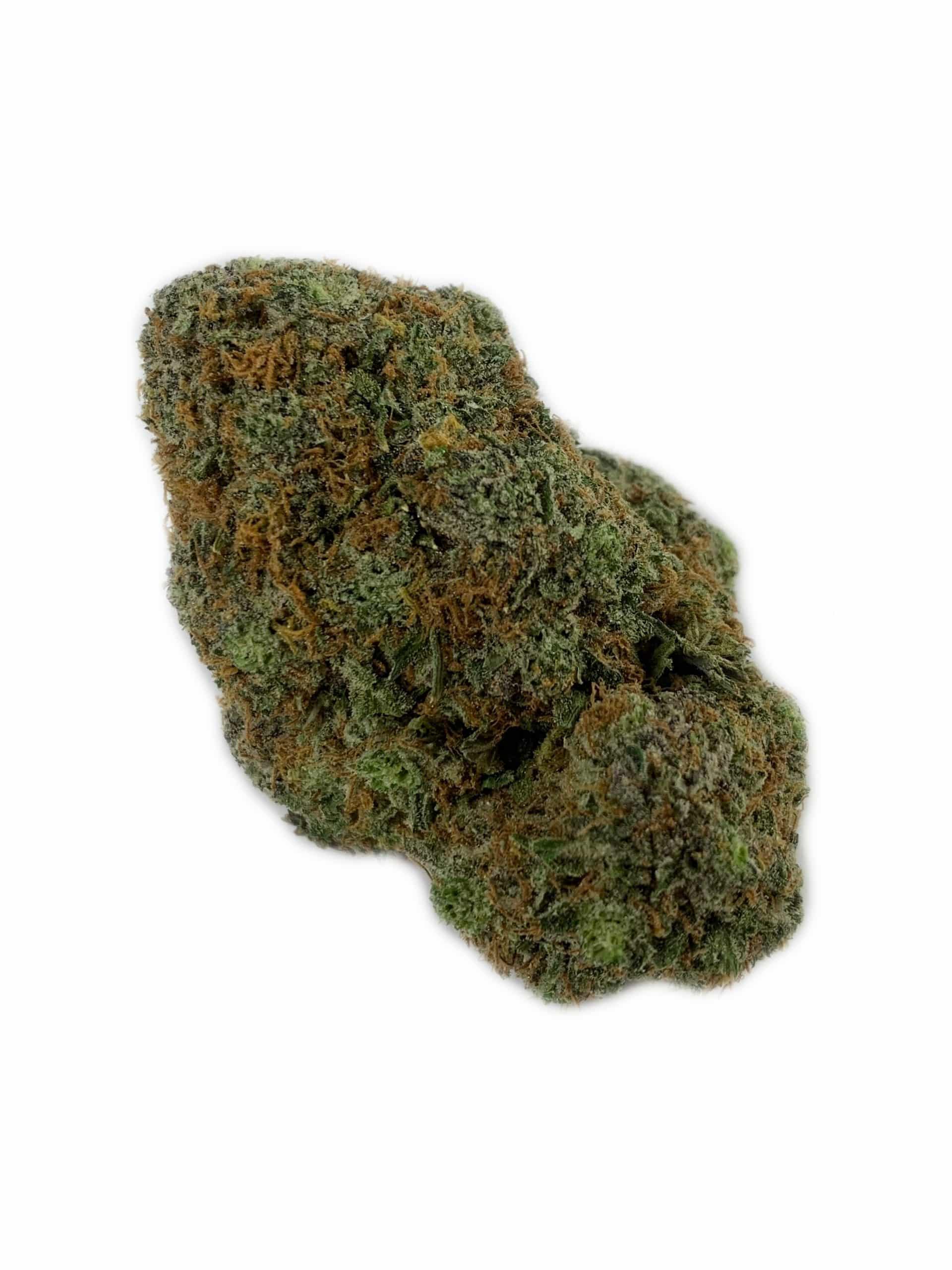 Grease Monkey (Oz Special) Hybrid anxiety Grease Monkey (Oz Special) Hybrid anxiety