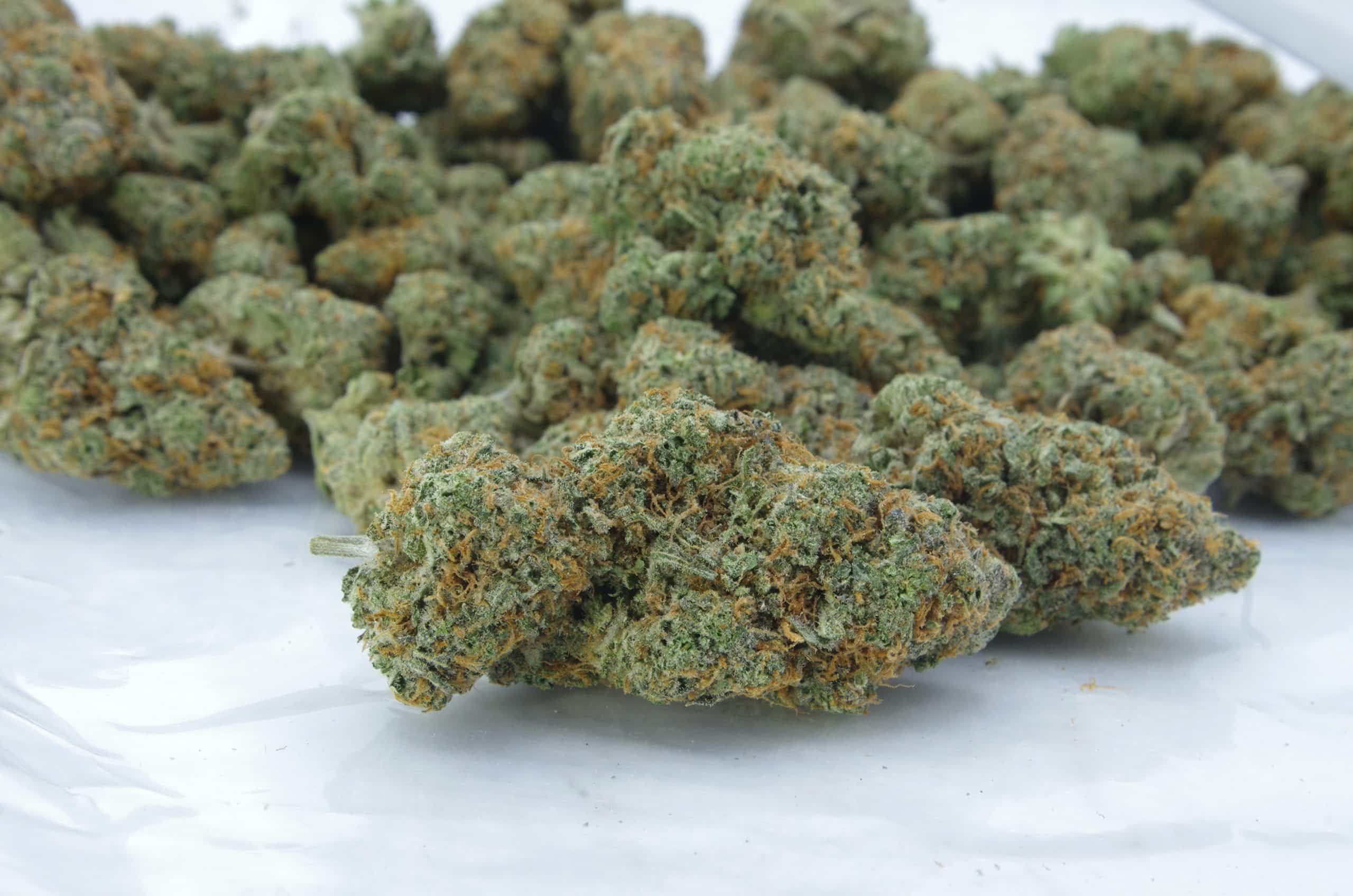 GMO Cookies (Oz Special) All Strains GMO Cookies (Oz Special) All Strains