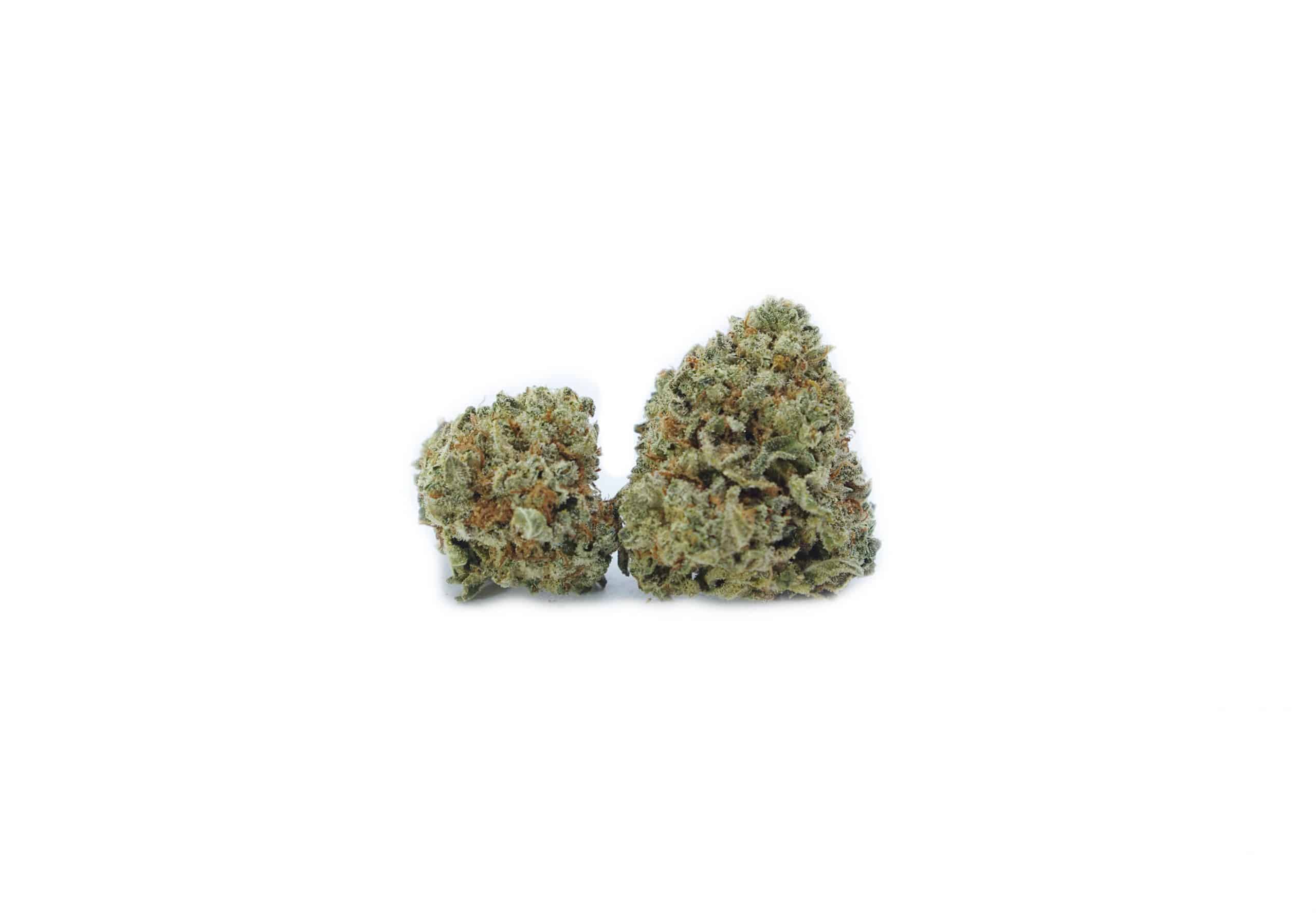Greasy Runtz Mids (Oz Special) Hybrid anti-anxiety Greasy Runtz Mids (Oz Special) Hybrid anti-anxiety