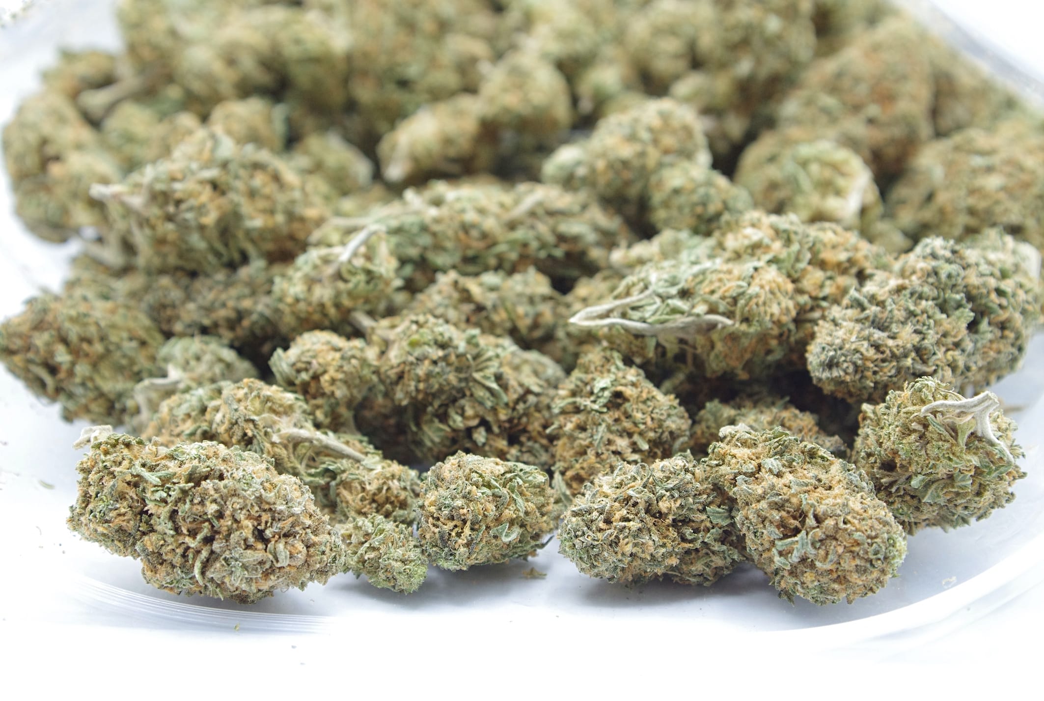 GSC (Oz Special) Hybrid anti-anxiety GSC (Oz Special) Hybrid anti-anxiety
