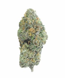 buy gas mask online