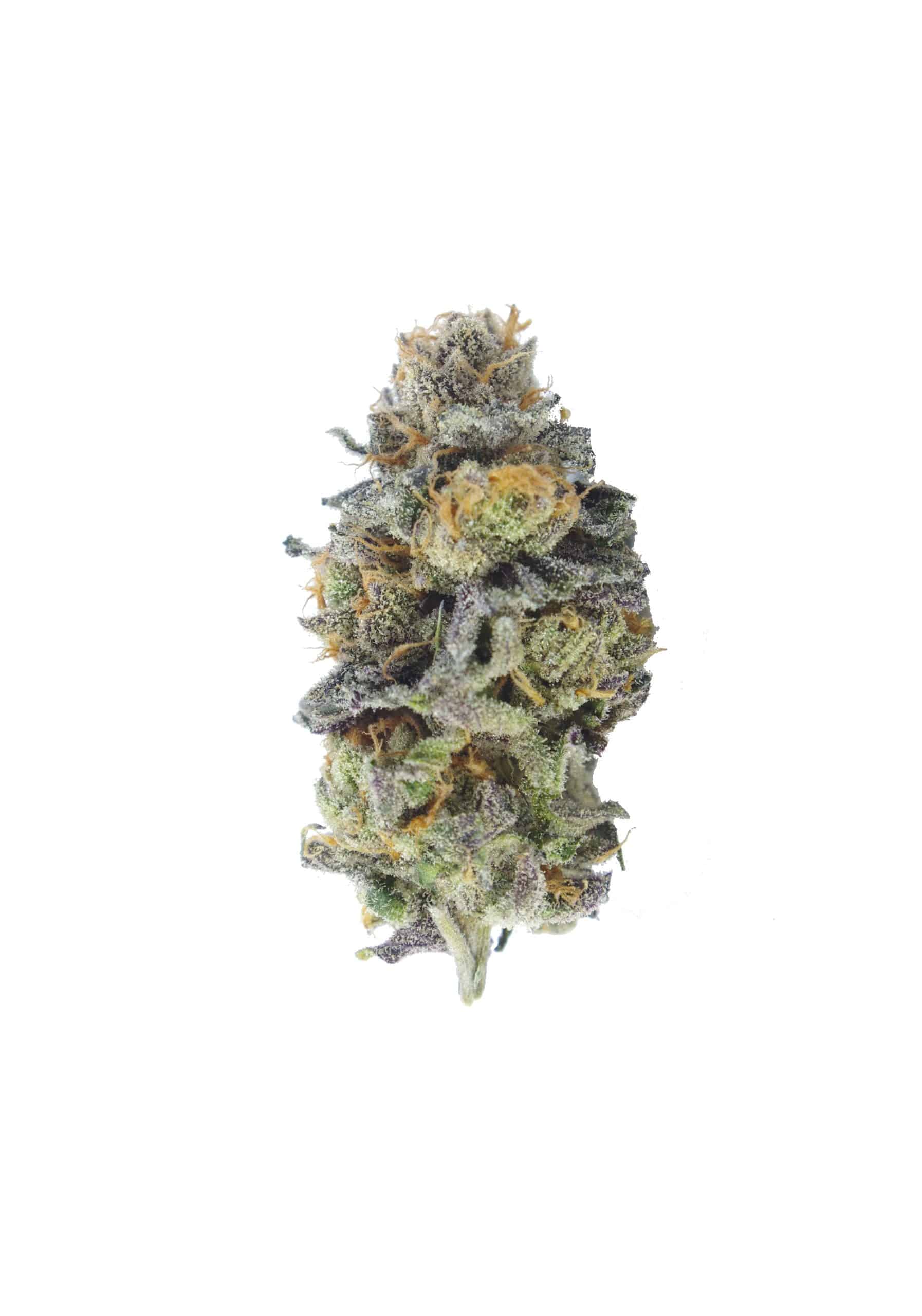 Van Island Exotics – Grape Face (3.5G) Hybrid anti-anxiety Van Island Exotics – Grape Face (3.5G) Hybrid anti-anxiety