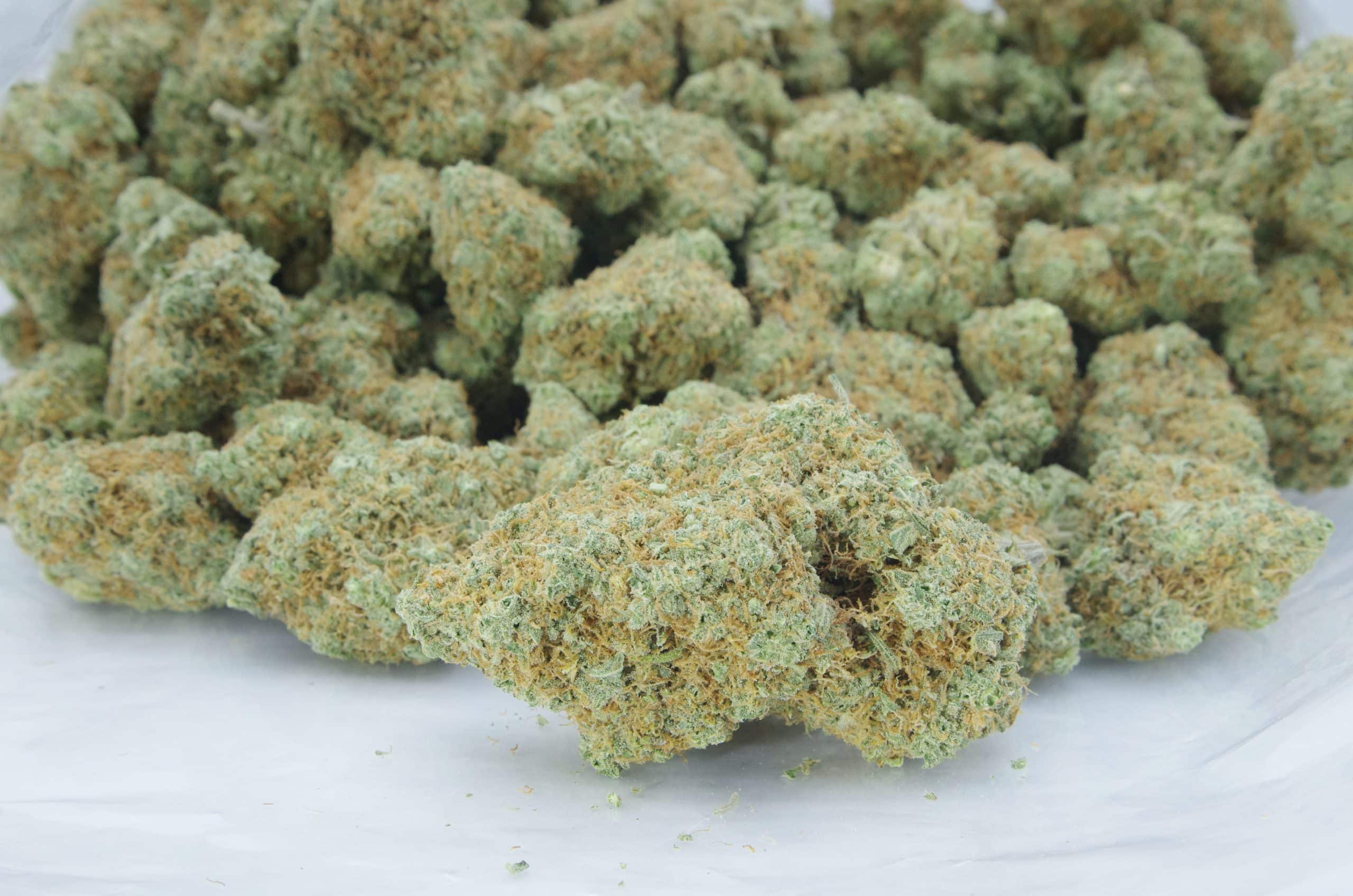 Gelato 33 (Oz Special) All Strains anti-anxiety Gelato 33 (Oz Special) All Strains anti-anxiety