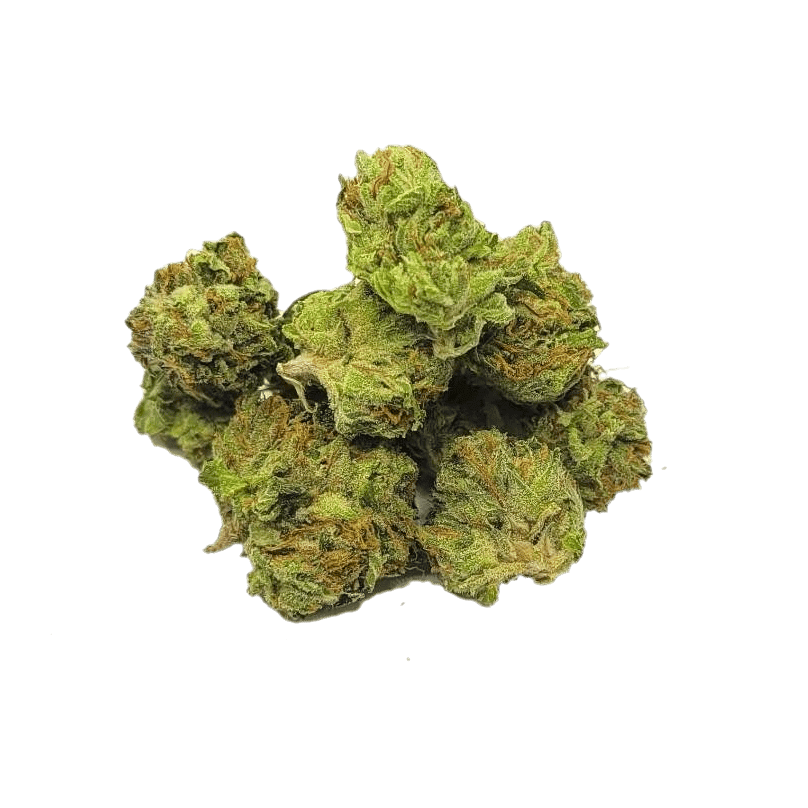 Gelato AAAA Smalls (Oz Special) Hybrid anxiety Gelato AAAA Smalls (Oz Special) Hybrid anxiety