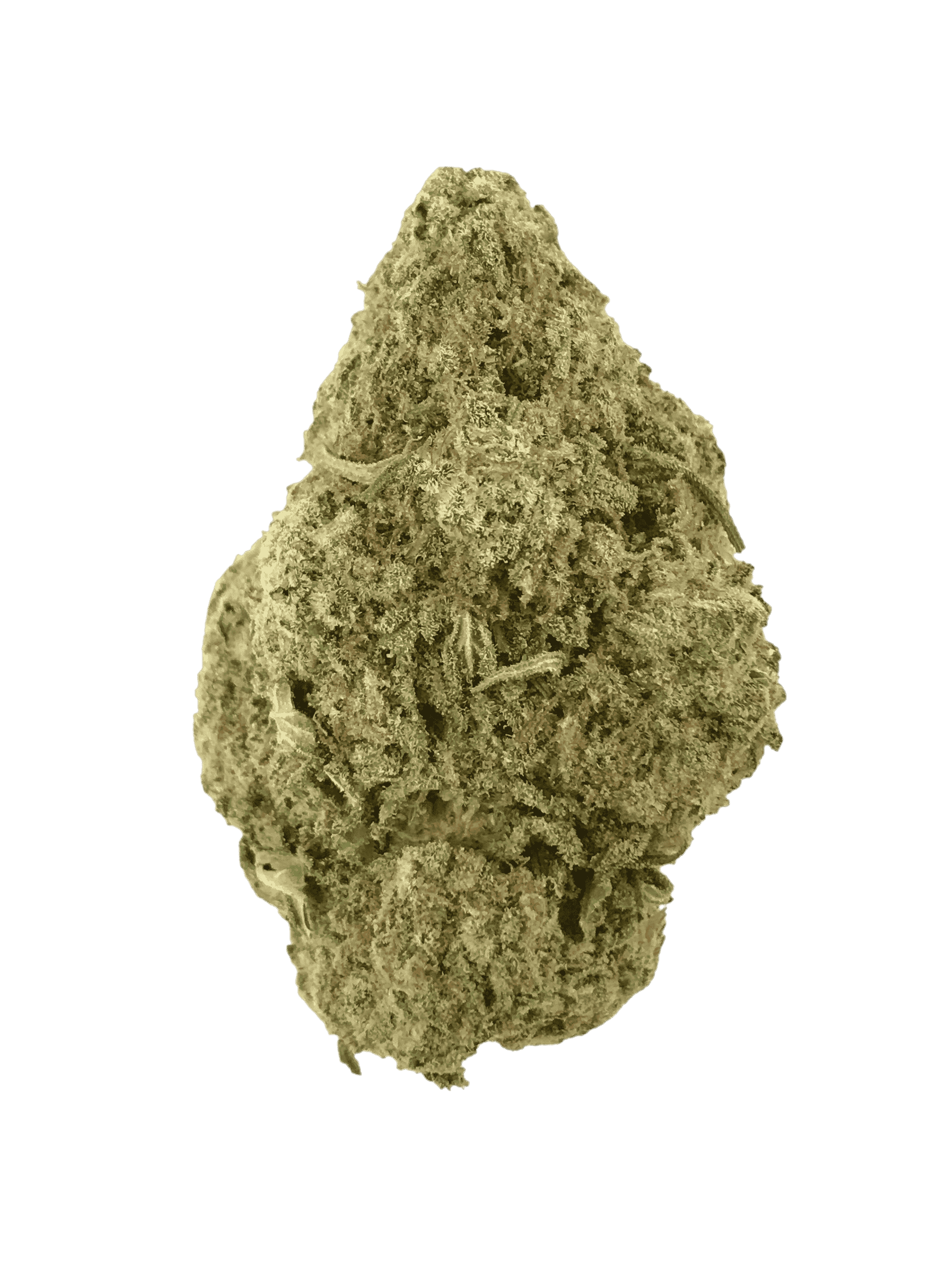 God Bud (Oz Special) Hybrid anxiety God Bud (Oz Special) Hybrid anxiety