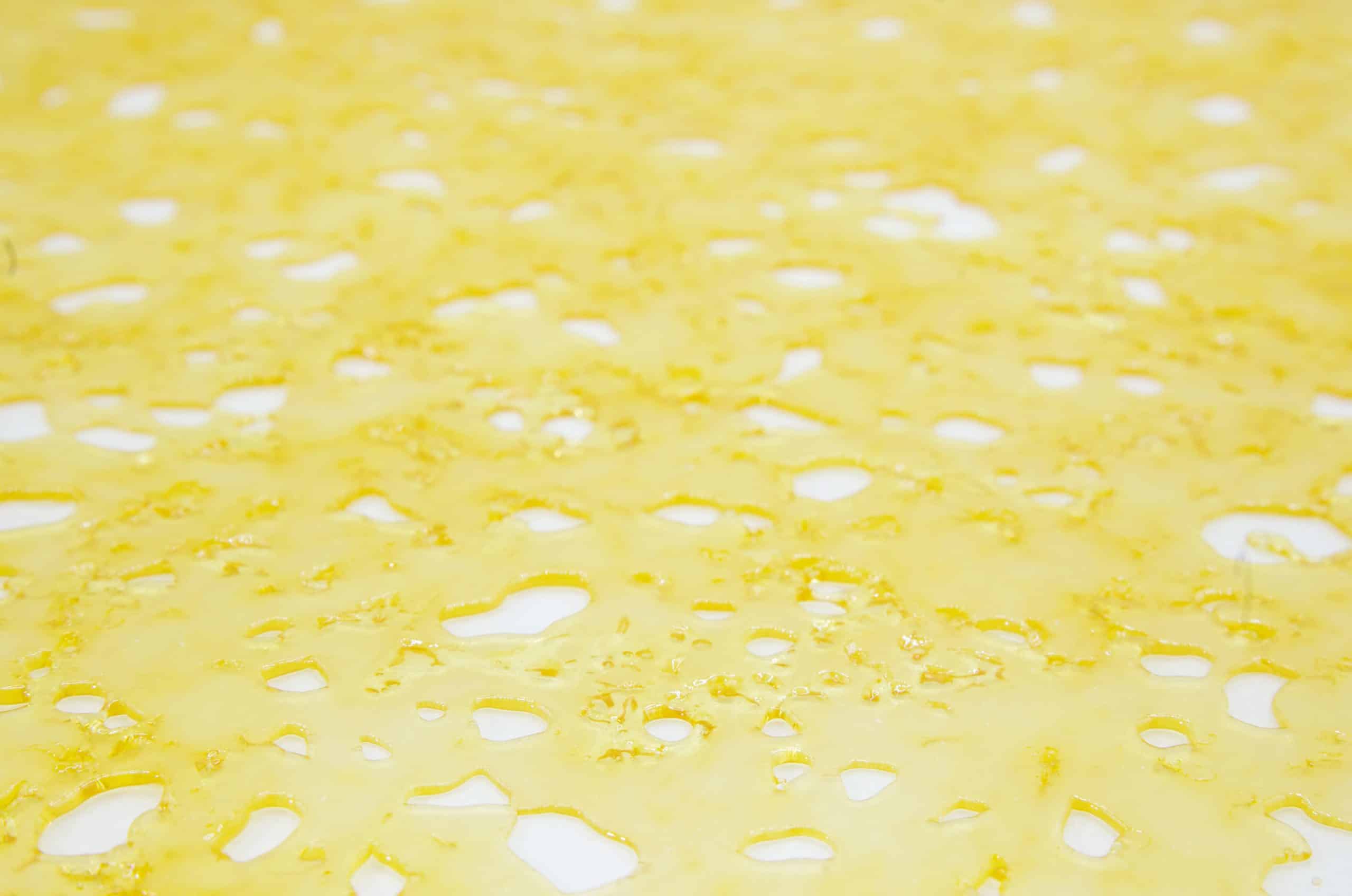 God Bud Shatter Concentrates God Bud Shatter Concentrates