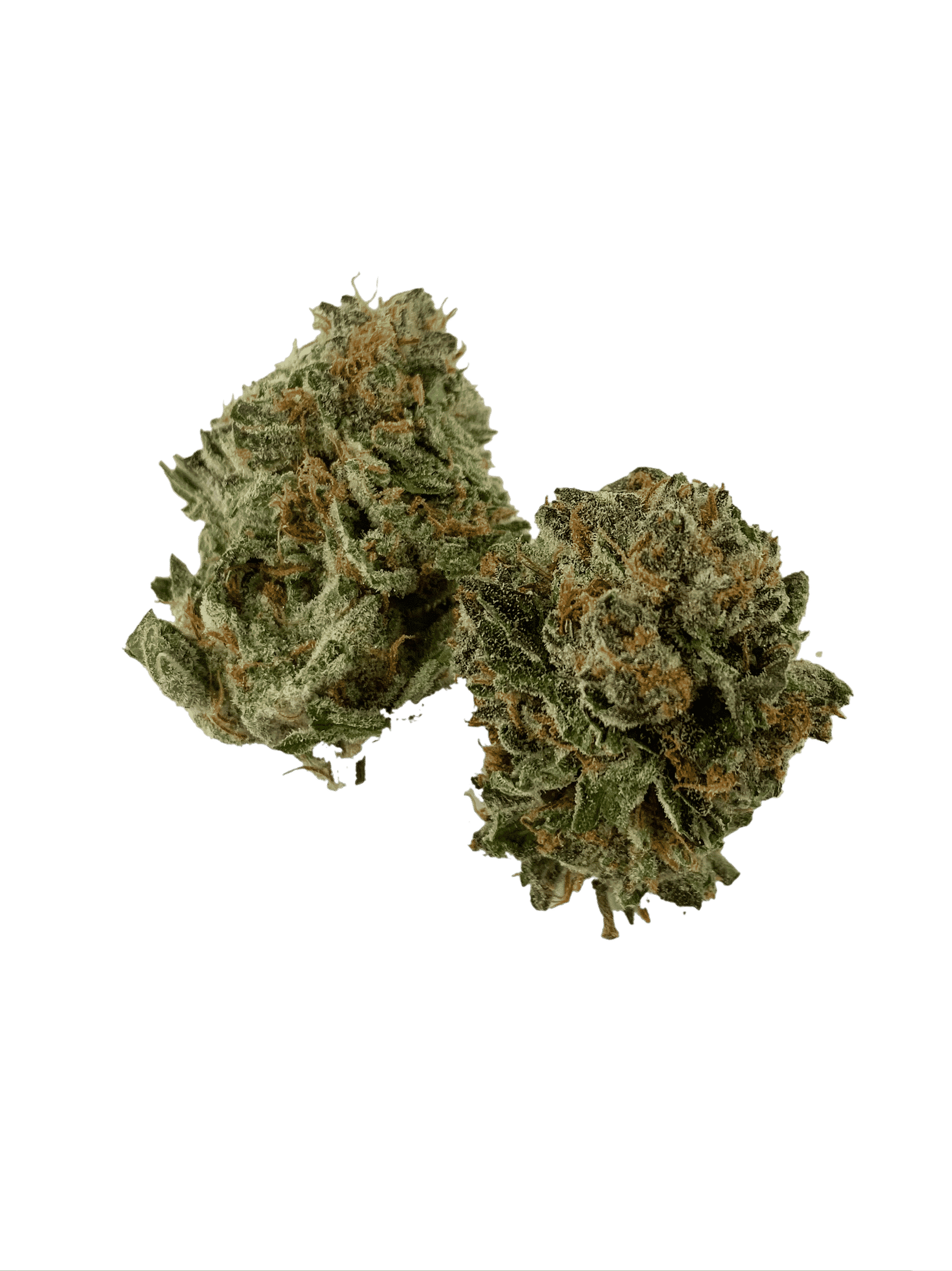 Gods Green Crack (Oz Special) Hybrid anxiety Gods Green Crack (Oz Special) Hybrid anxiety