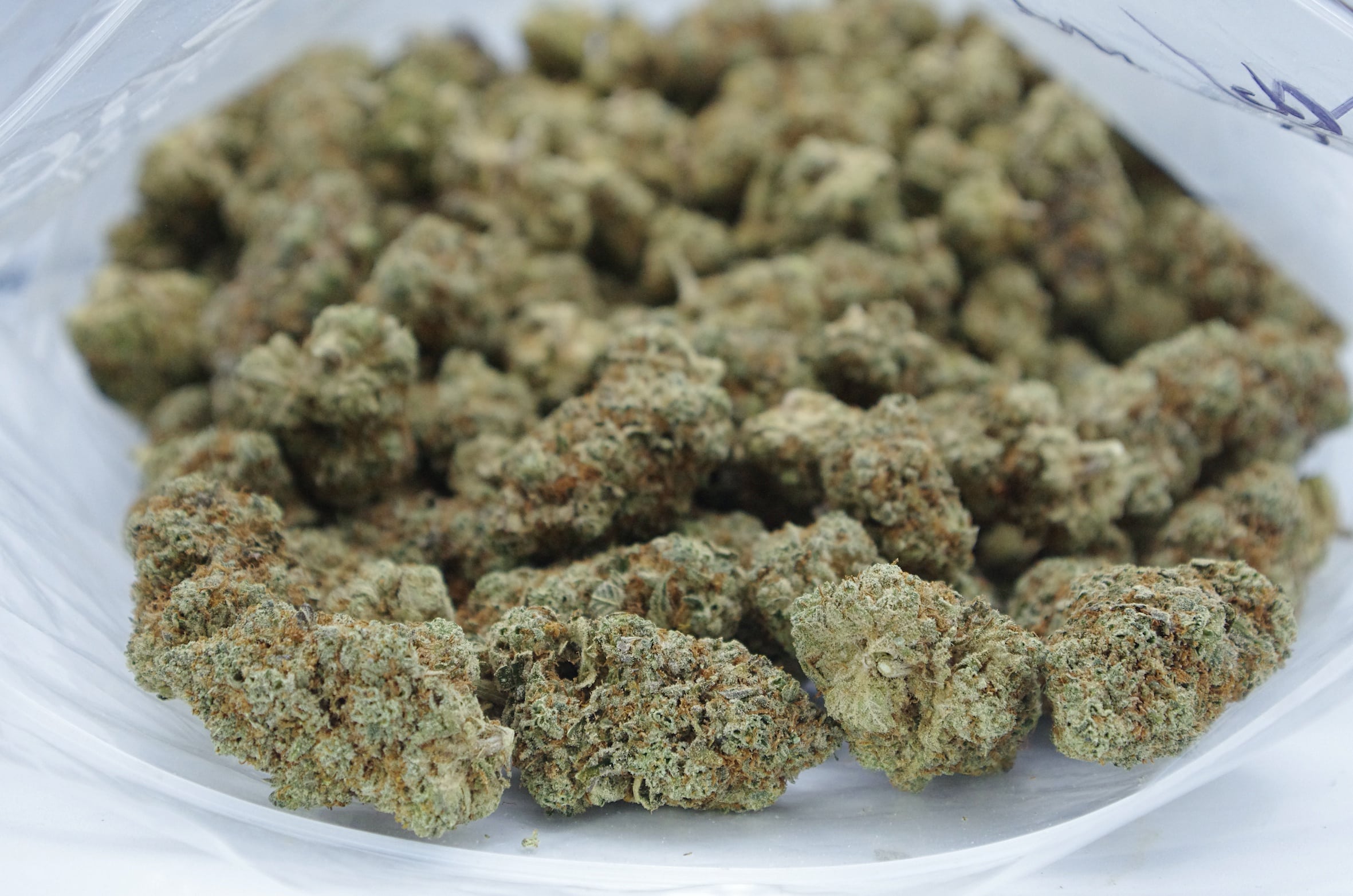 Goji OG (Oz Special) Hybrid anti-anxiety Goji OG (Oz Special) Hybrid anti-anxiety