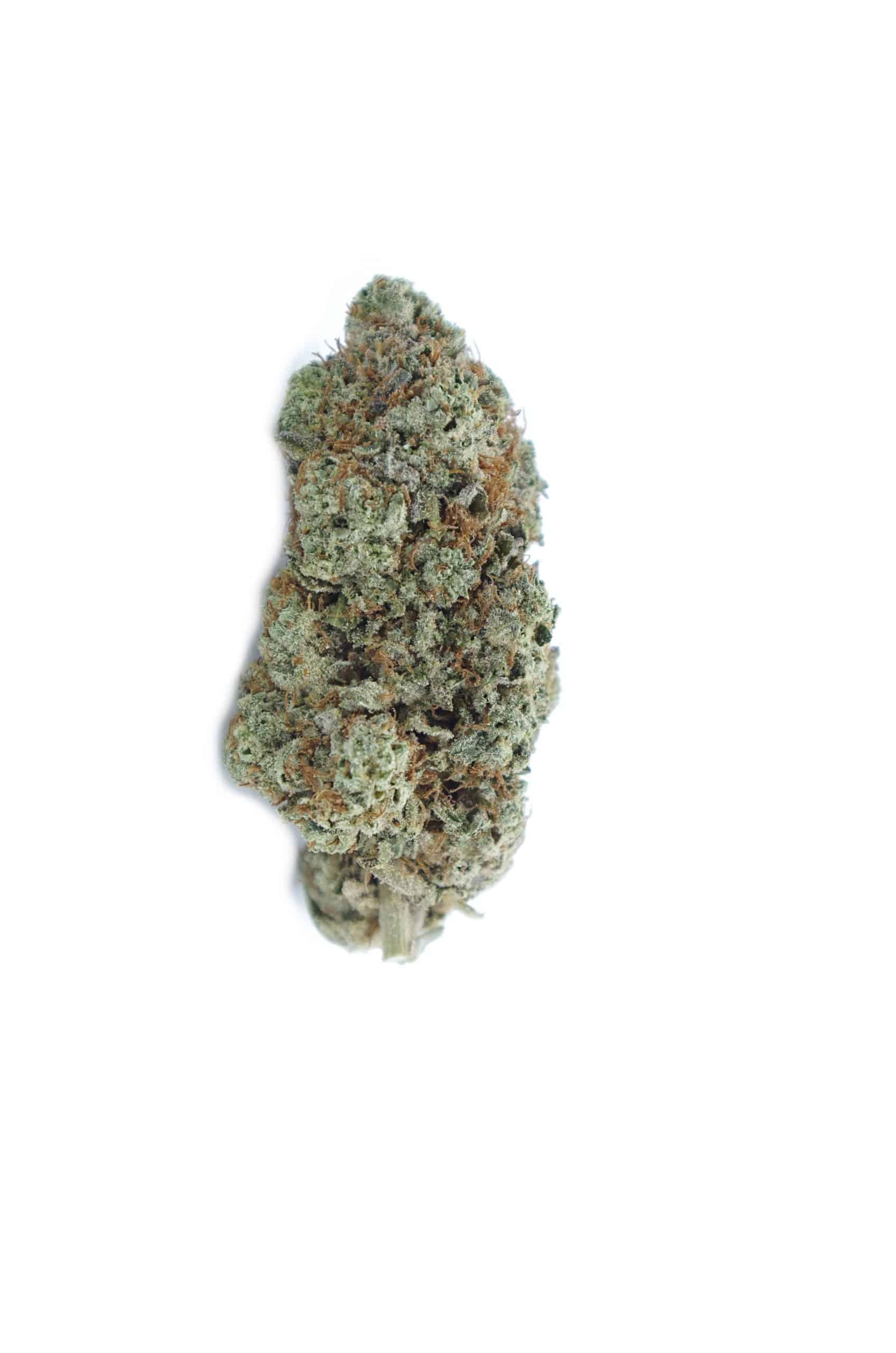 Goji OG (Oz Special) Hybrid anti-anxiety Goji OG (Oz Special) Hybrid anti-anxiety