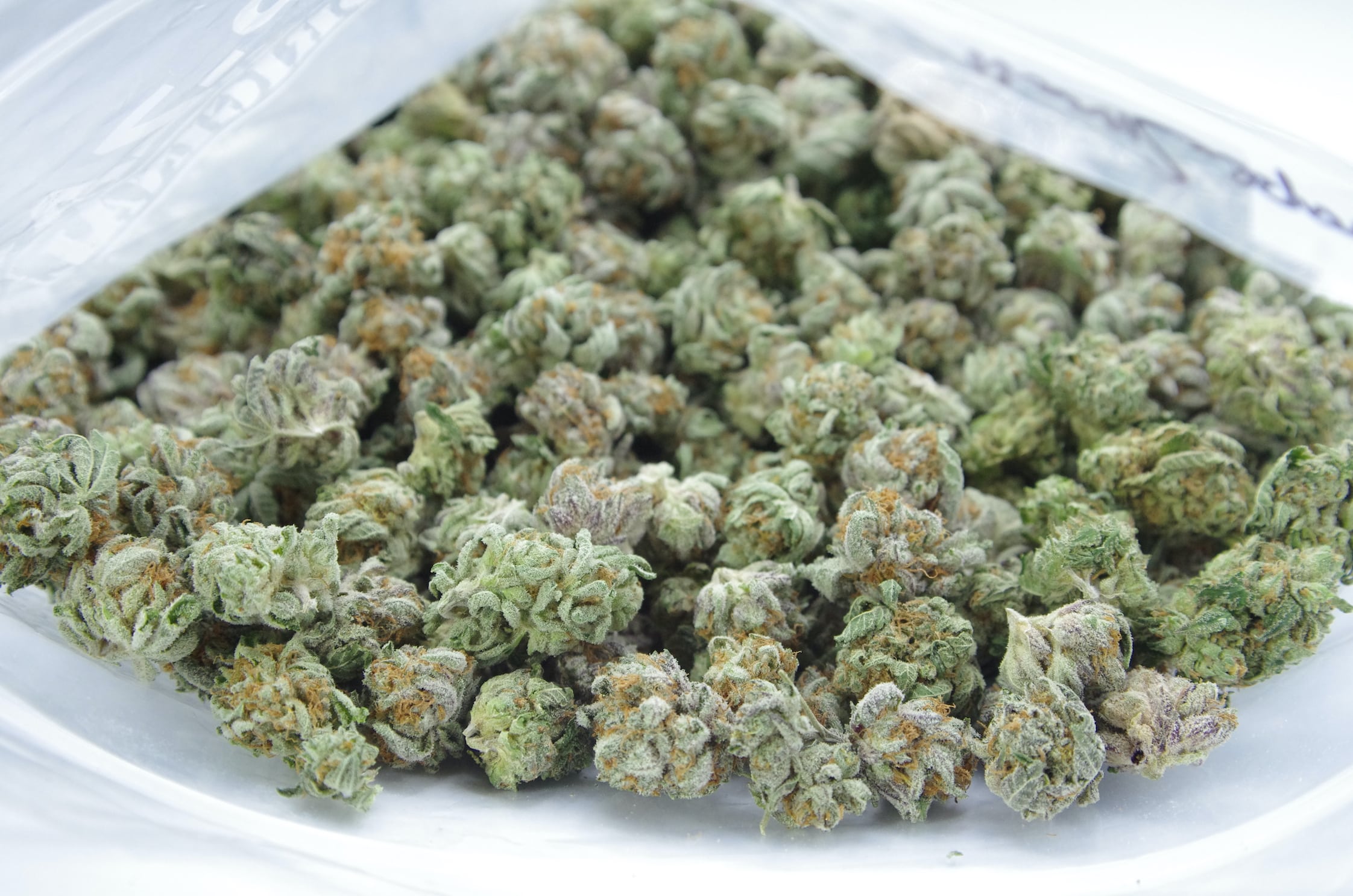 Greasy Grapes Smalls (Oz Special) Hybrid anxiety Greasy Grapes Smalls (Oz Special) Hybrid anxiety