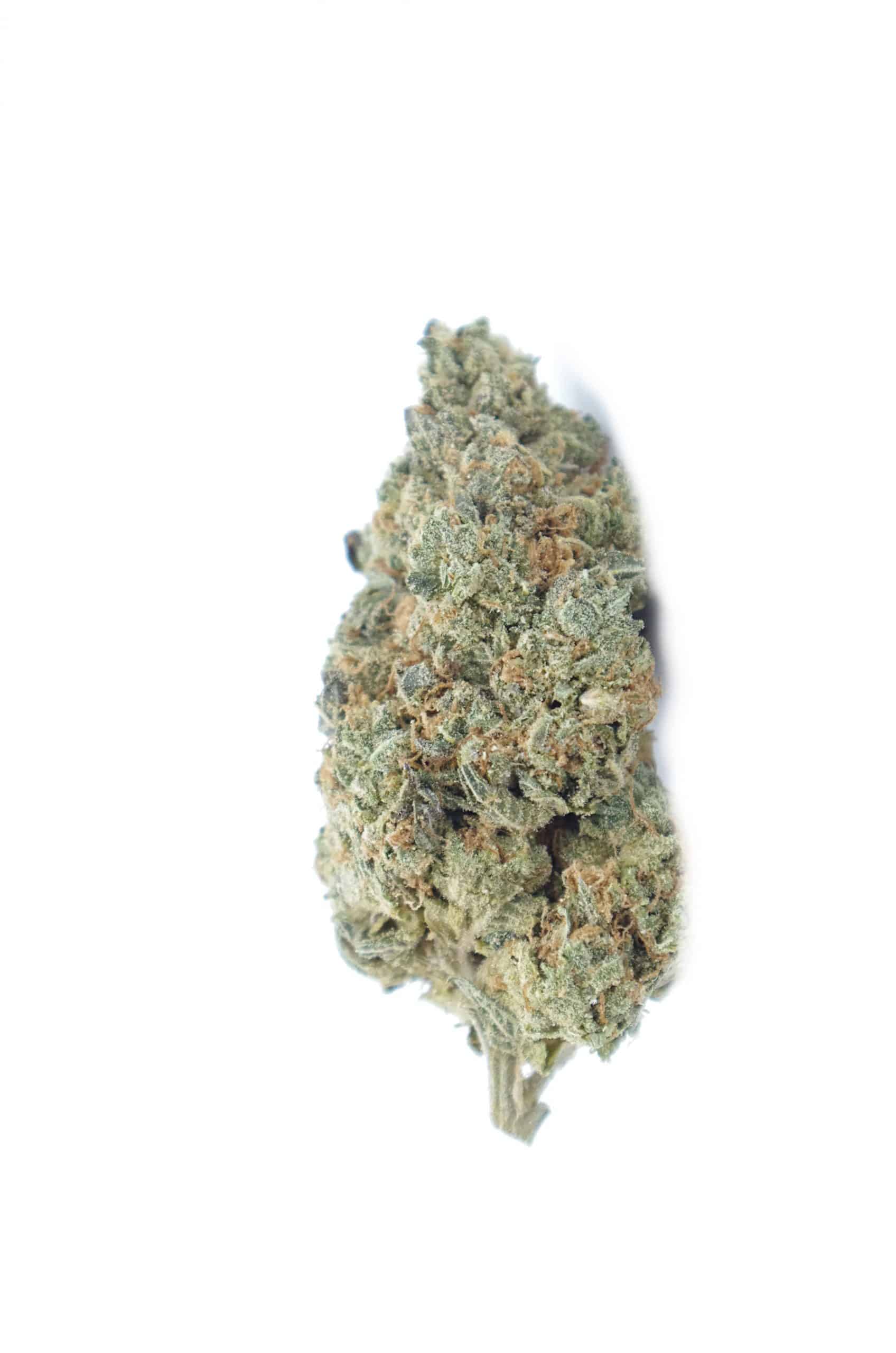 Greasy Runtz All Strains anti-anxiety Greasy Runtz All Strains anti-anxiety