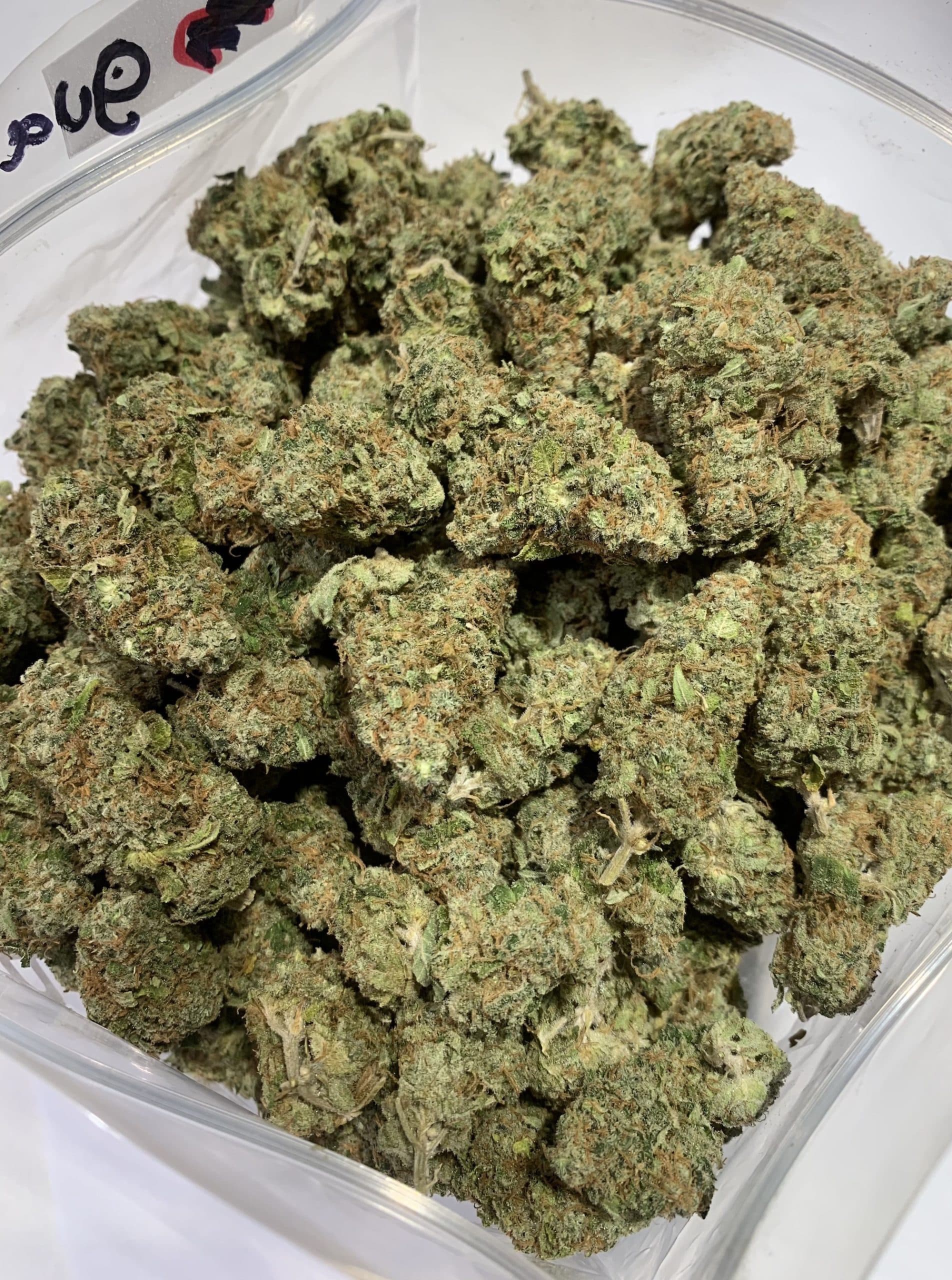 Captain’s Cake (Oz Special) Hybrid anxiety Captain’s Cake (Oz Special) Hybrid anxiety