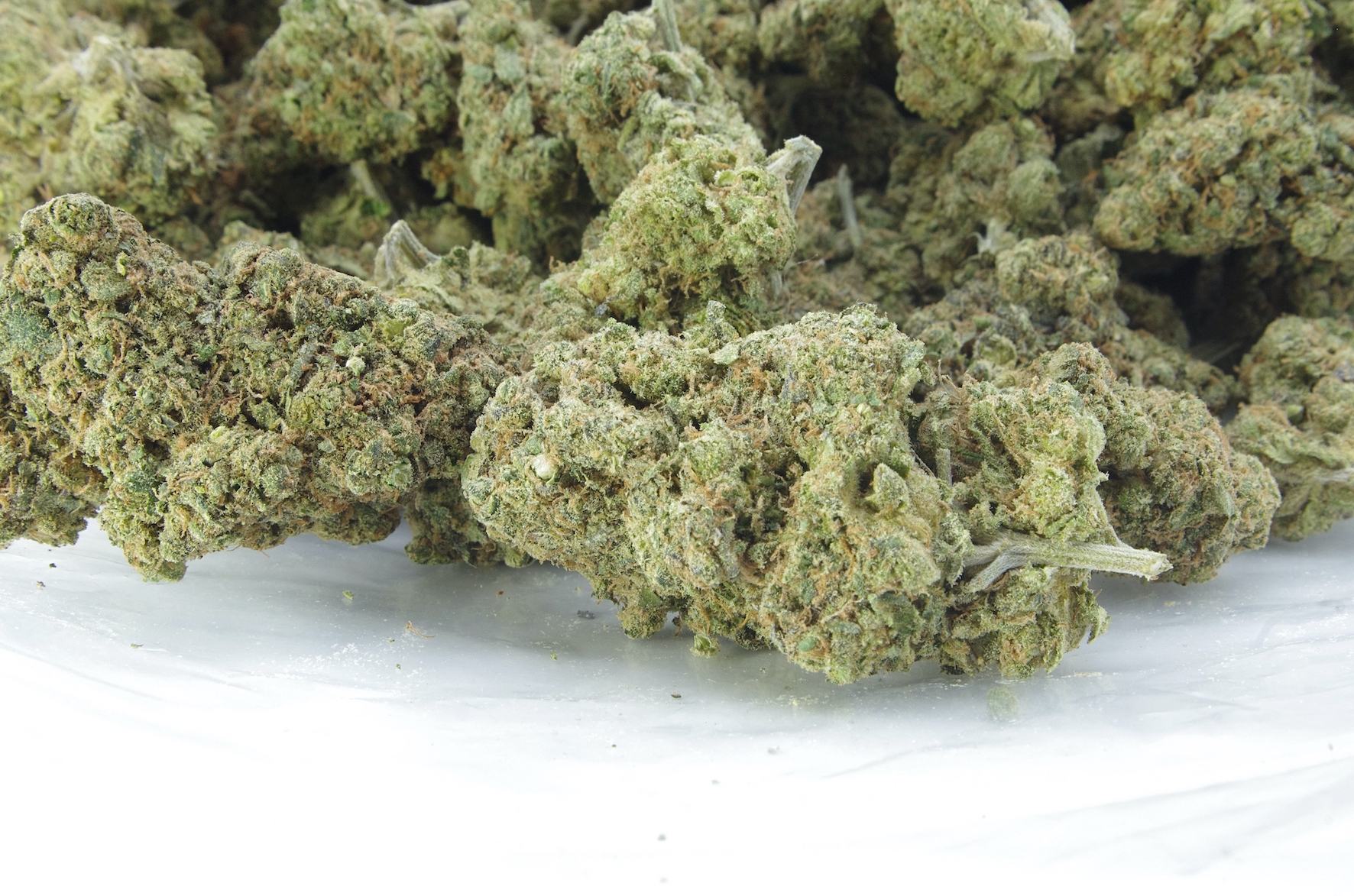 Guava God (Oz Special) All Strains anti-anxiety Guava God (Oz Special) All Strains anti-anxiety