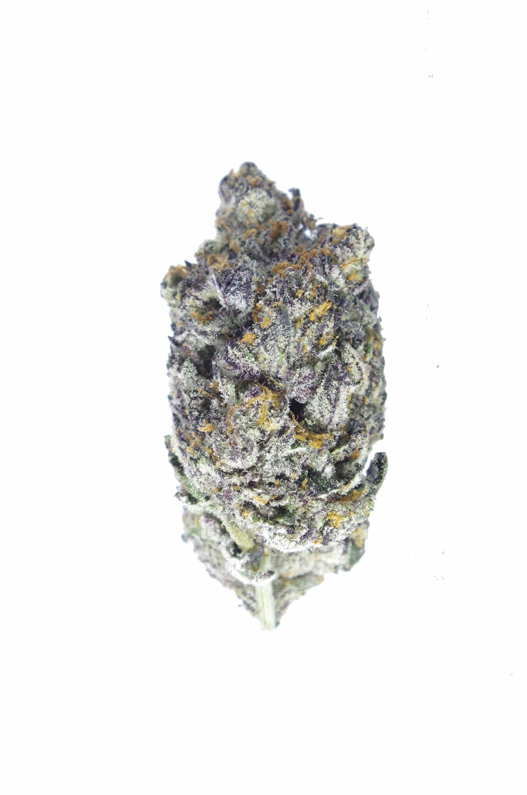 Gummy Bears (Oz Special) All Strains anti-anxiety Gummy Bears (Oz Special) All Strains anti-anxiety