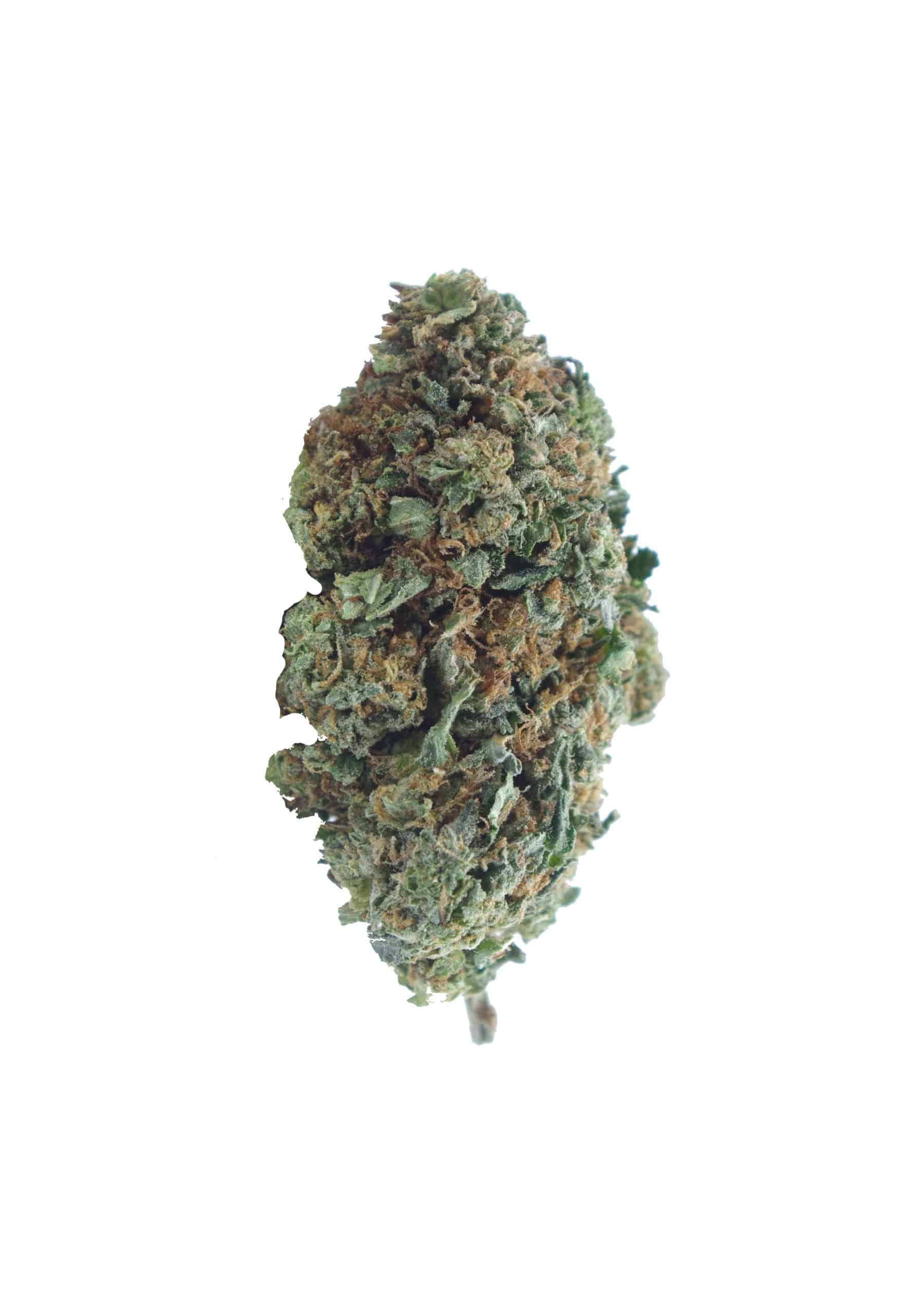 Hindu Kush (Oz Special) All Strains anti-anxiety Hindu Kush (Oz Special) All Strains anti-anxiety