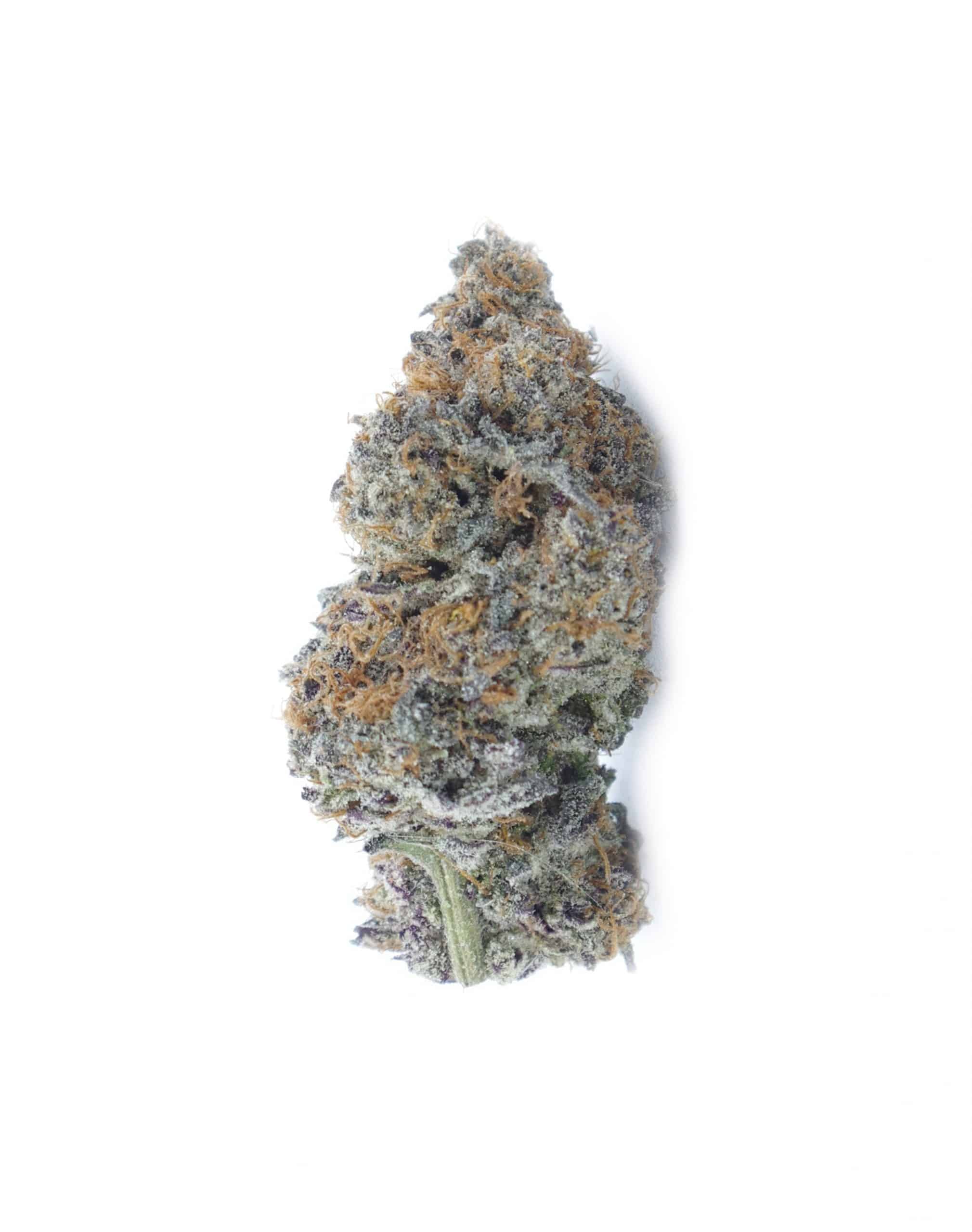Humble Pie All Strains anti-anxiety Humble Pie All Strains anti-anxiety