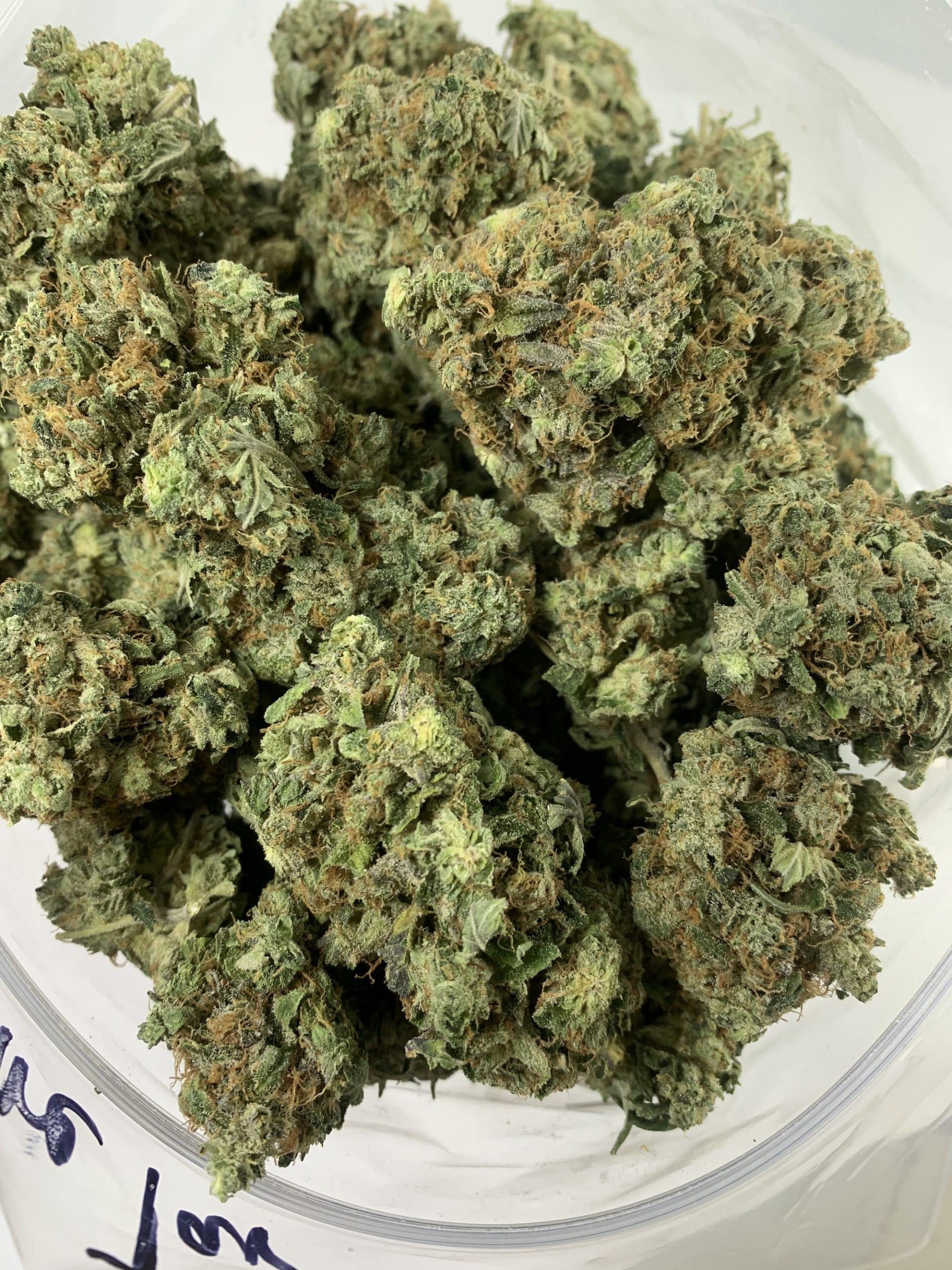 Pine Tar (Oz Special) Hybrid anxiety Pine Tar (Oz Special) Hybrid anxiety