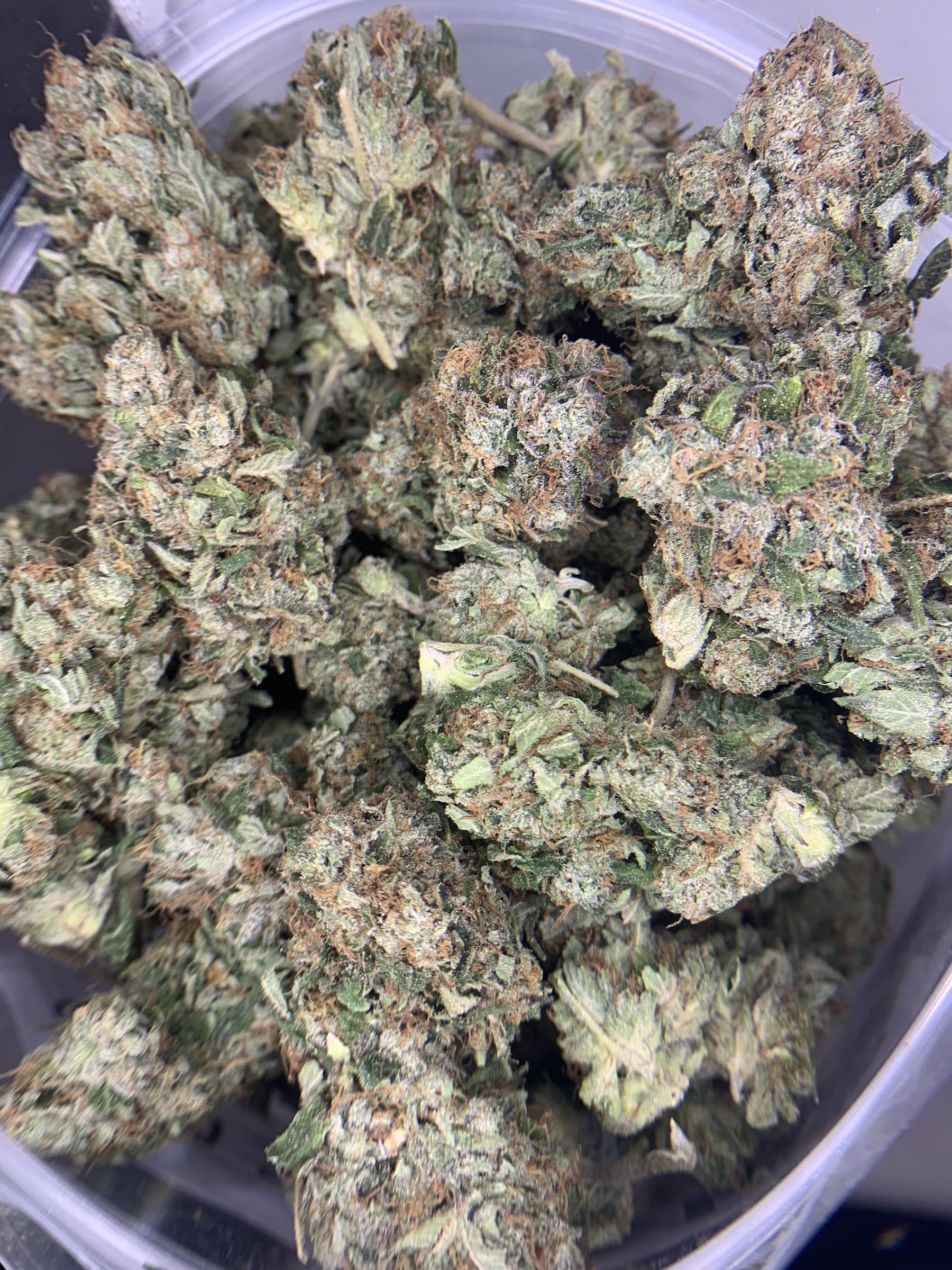 OG Rockstar (Ounce Special) Indica OG Rockstar (Ounce Special) Indica