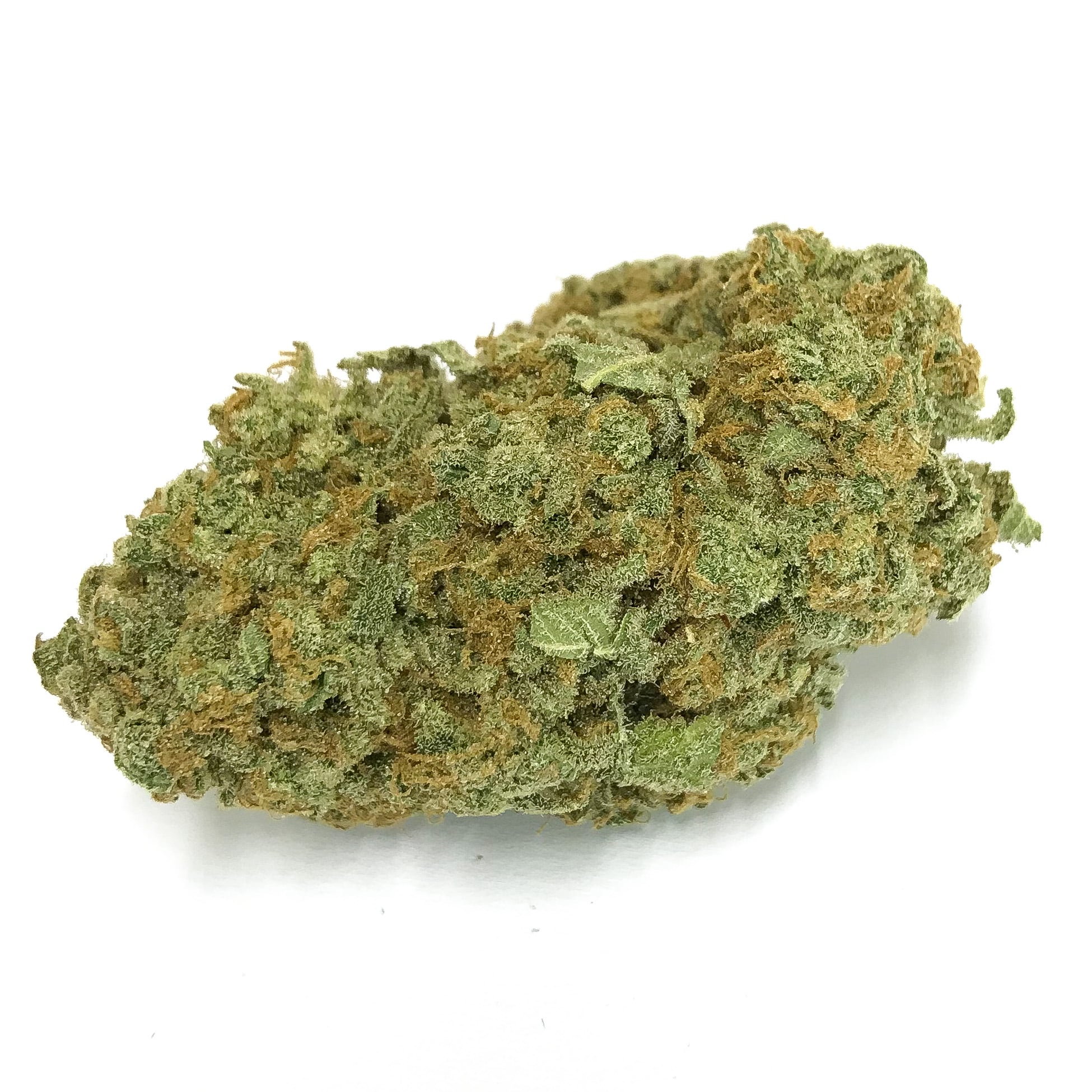 Mango Cookies (Oz Special) Hybrid anxiety Mango Cookies (Oz Special) Hybrid anxiety