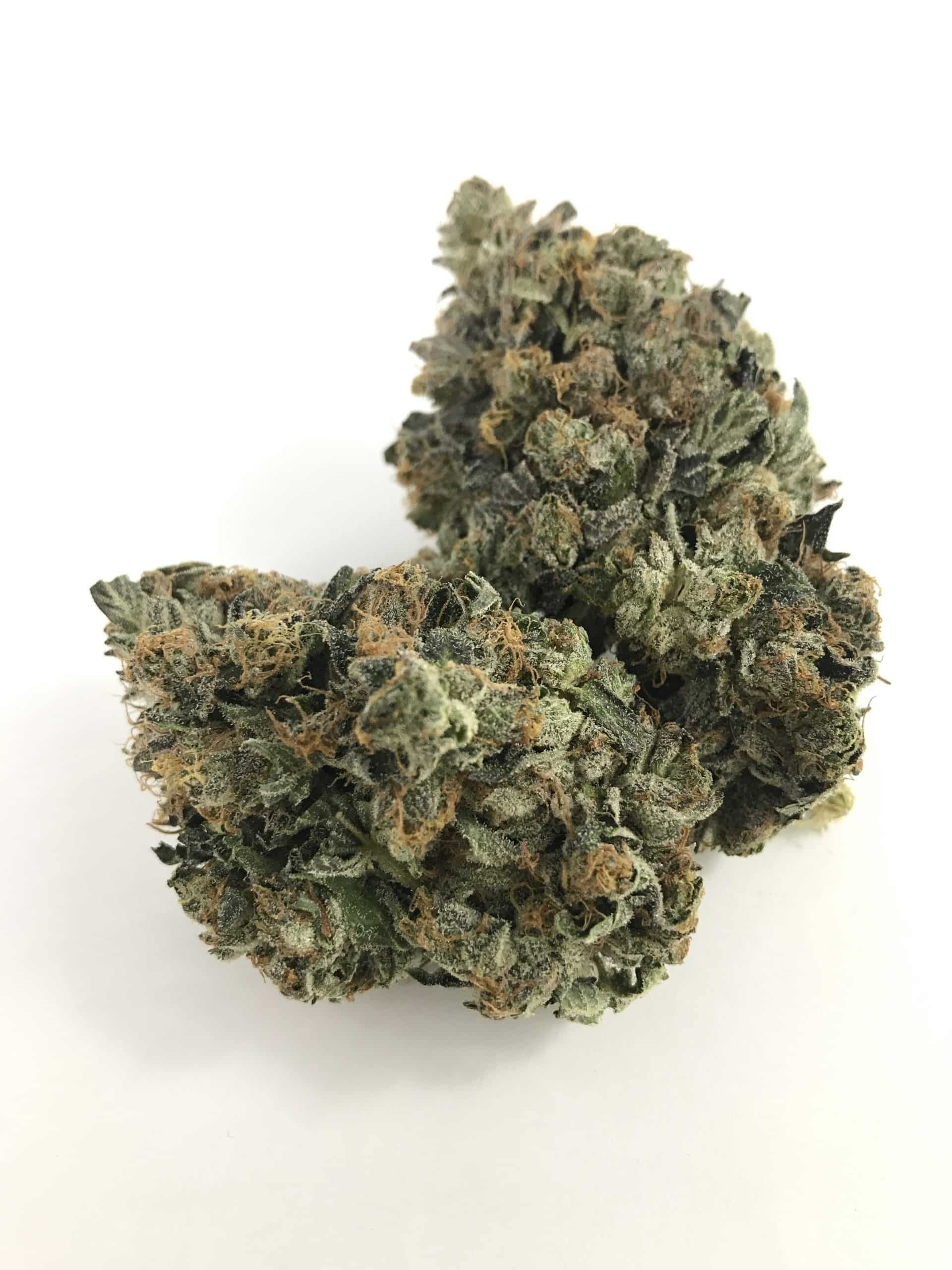 Pink Kush (Oz Special) Indica anxiety Pink Kush (Oz Special) Indica anxiety