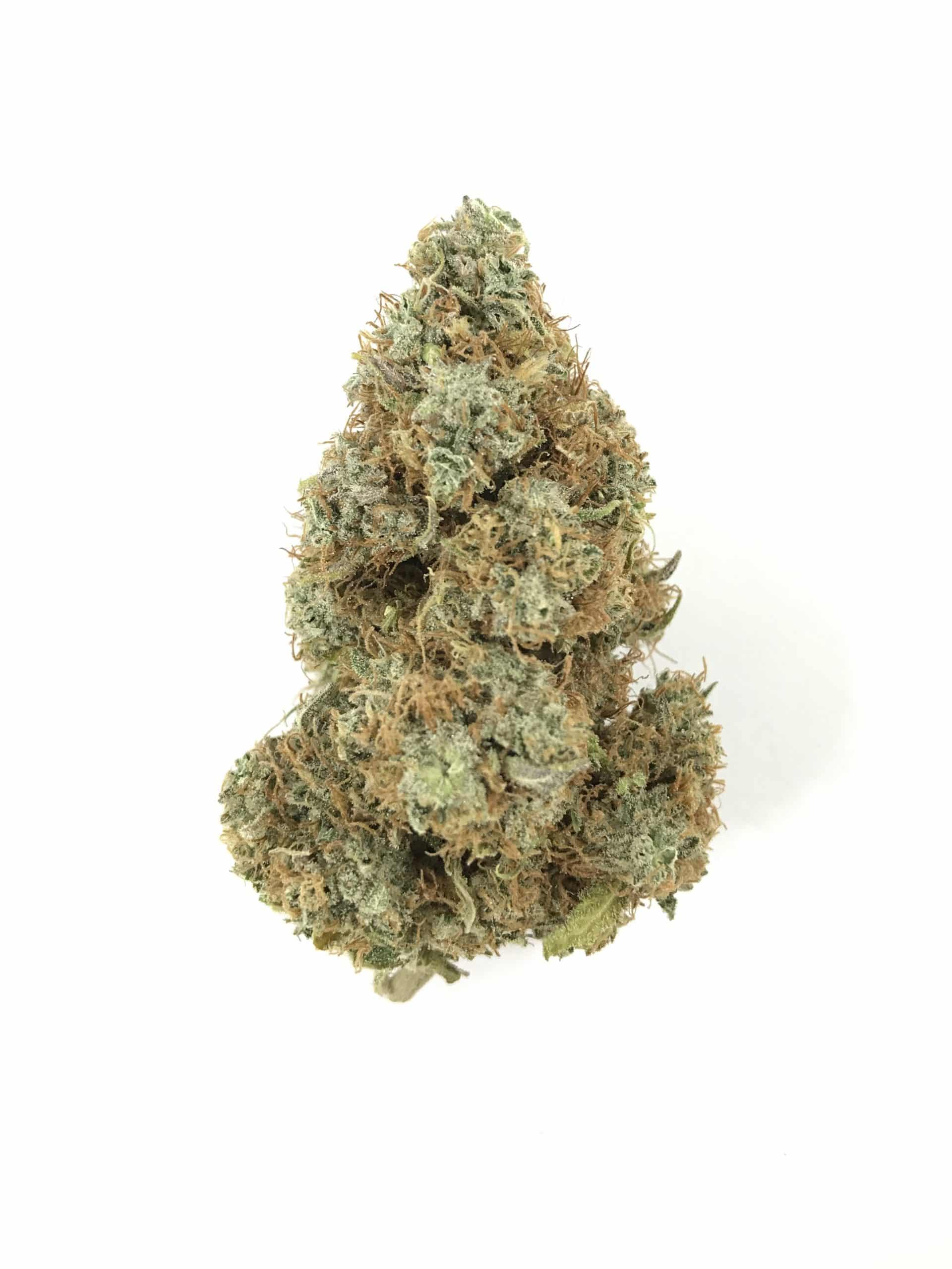 Strawberry Cough (Oz Special) Hybrid anxiety Strawberry Cough (Oz Special) Hybrid anxiety