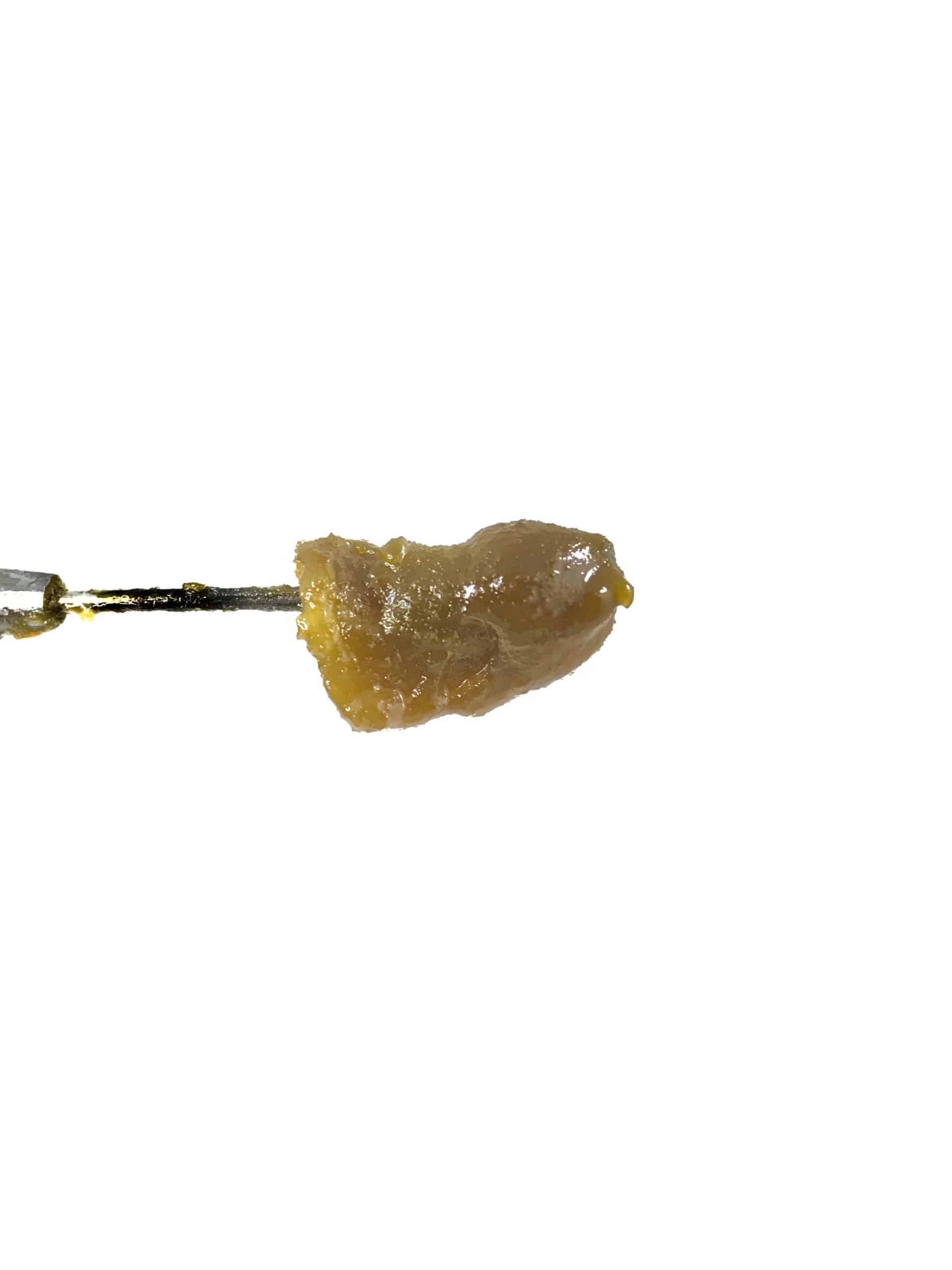 Tropic Truffle – Cake Batter (Live Resin) Live Resin Tropic Truffle – Cake Batter (Live Resin) Live Resin