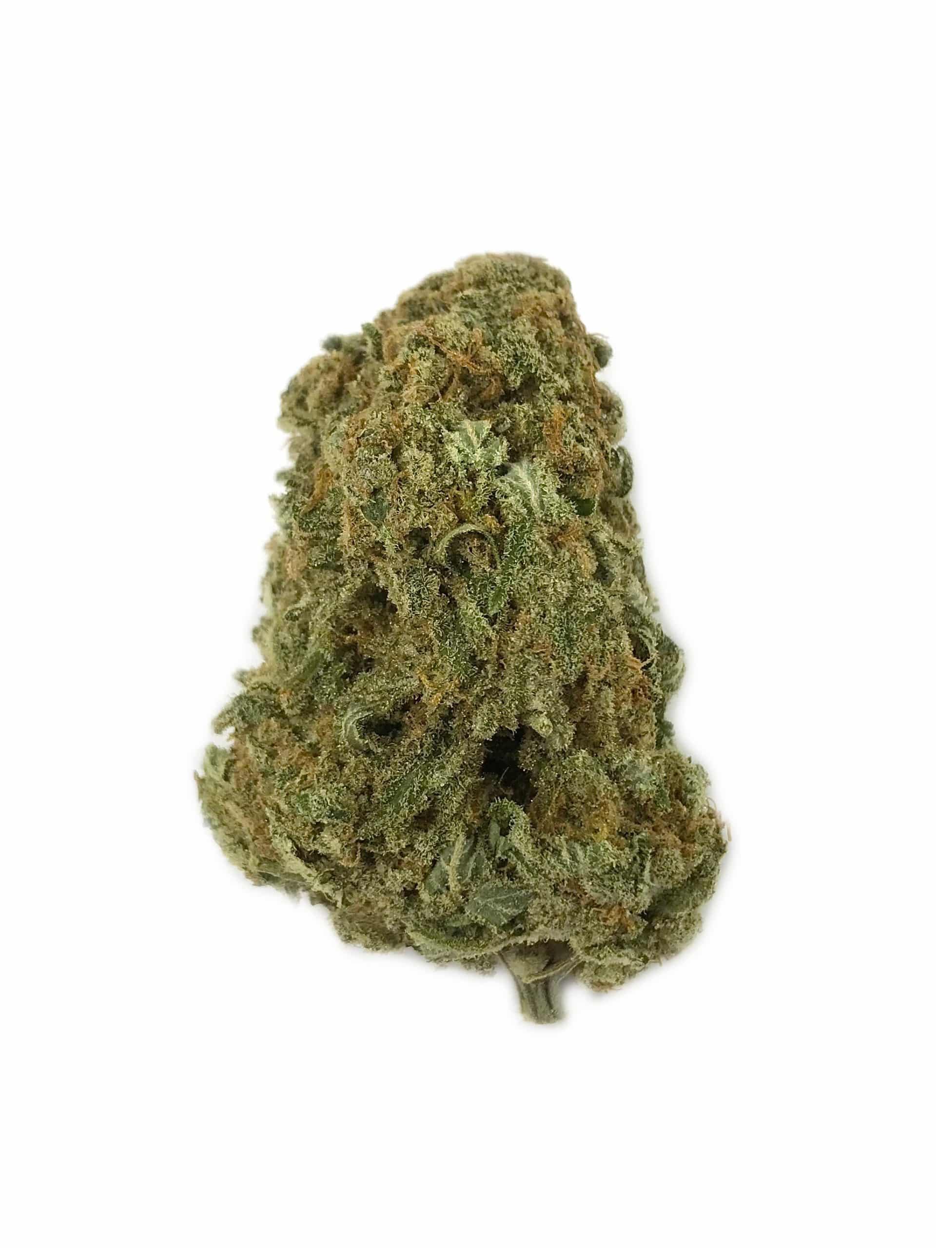 Lambs Breath (Oz Special) Sativa anxiety Lambs Breath (Oz Special) Sativa anxiety