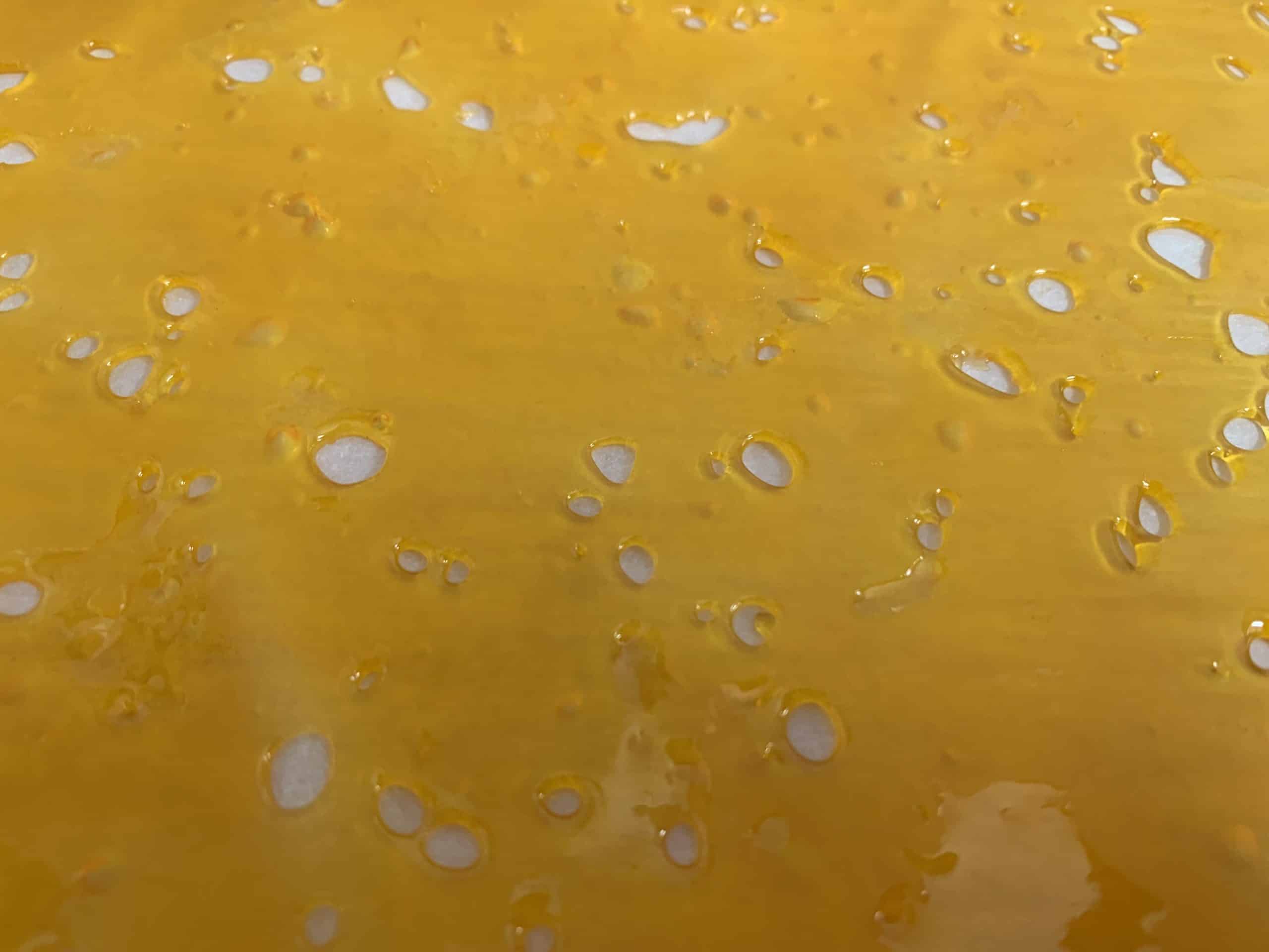 Gorilla Glue Shatter Concentrates Gorilla Glue Shatter Concentrates